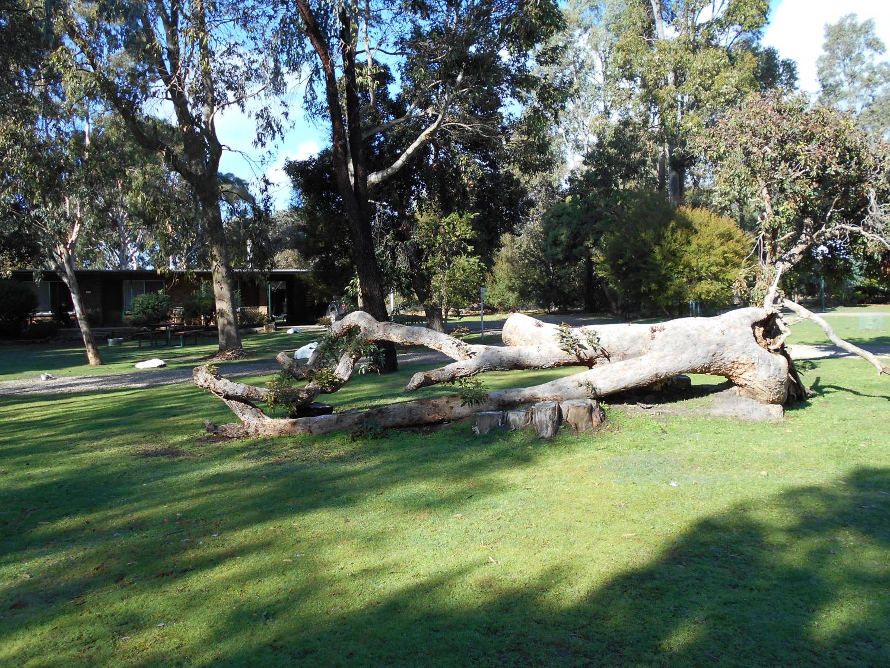 Grampians View Cottages and Units