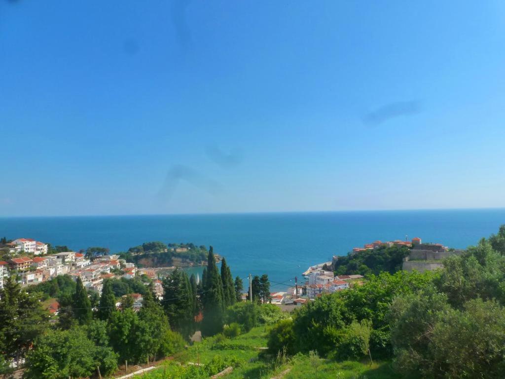 Apartment Djakonovic Mladen view 5