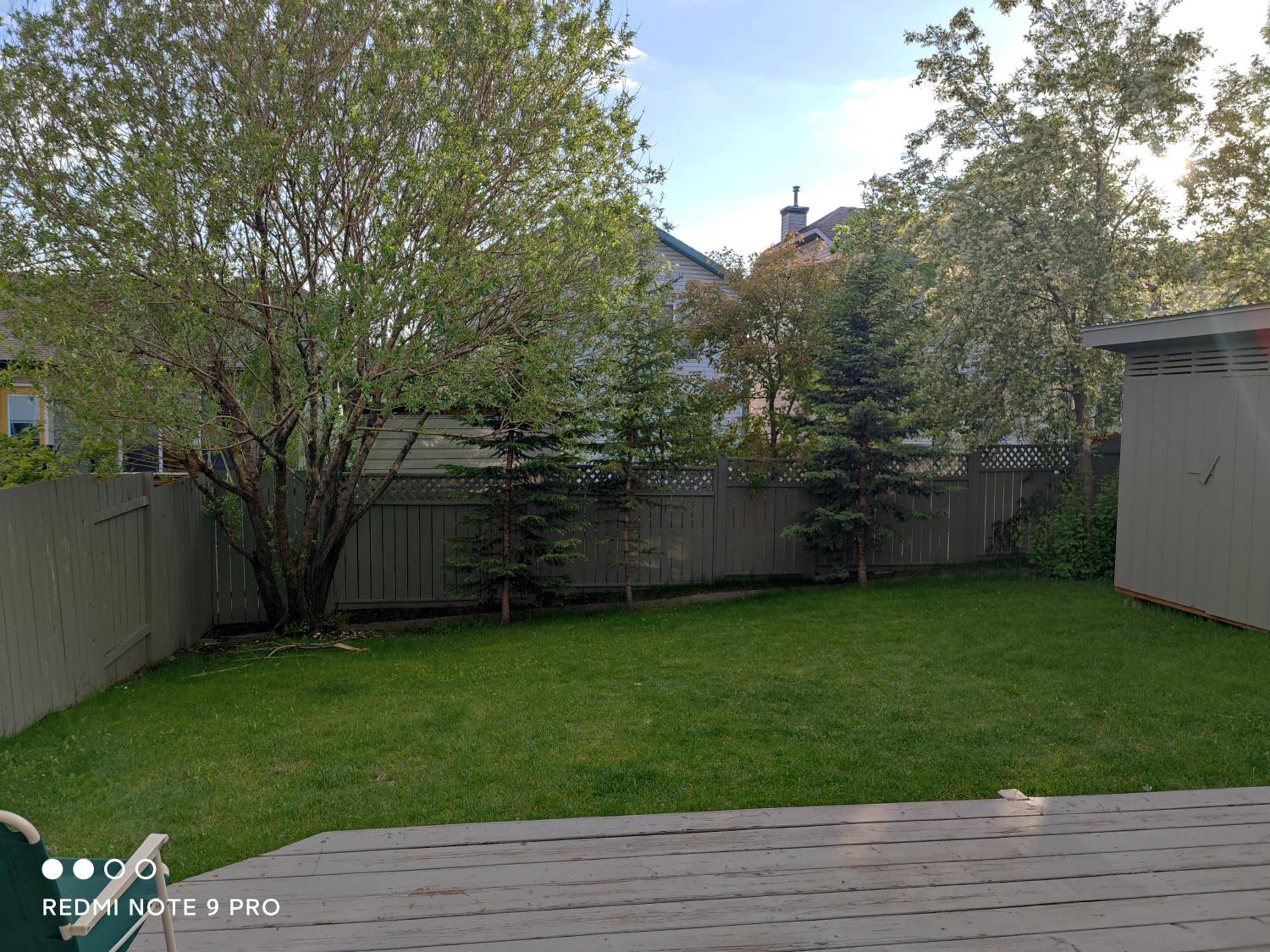 Photo 41