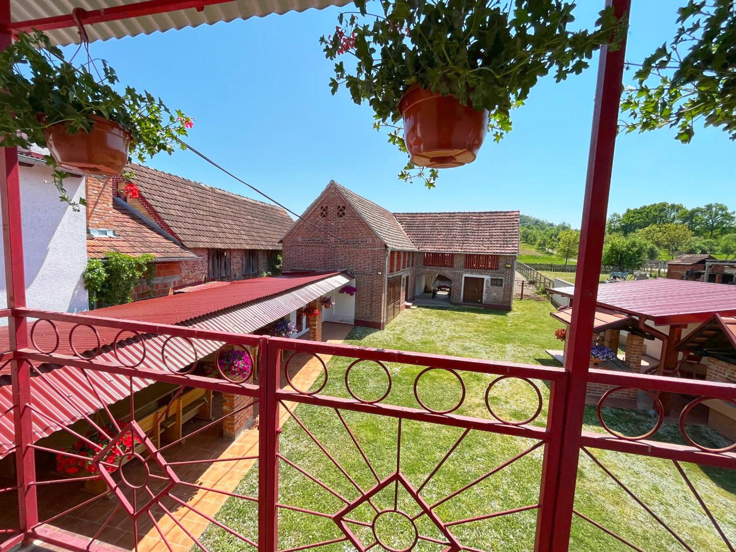 Salaš 318 - B&B Farm Experience view 4