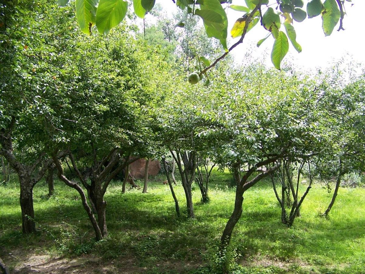 Espejo Escondido