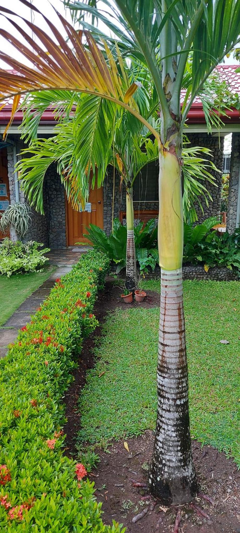 Photo 32