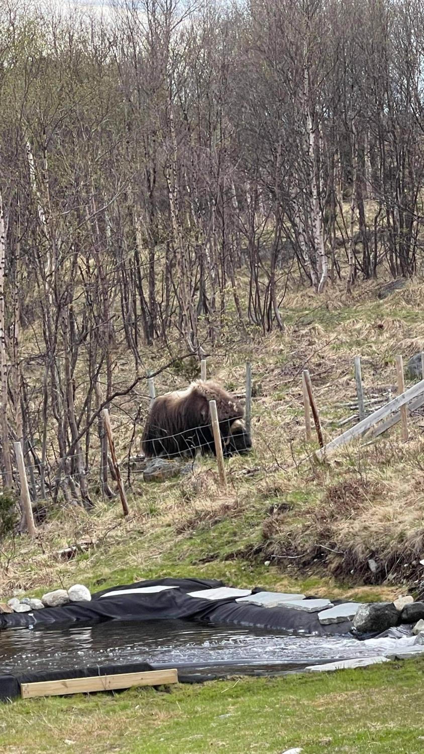 Photo 11