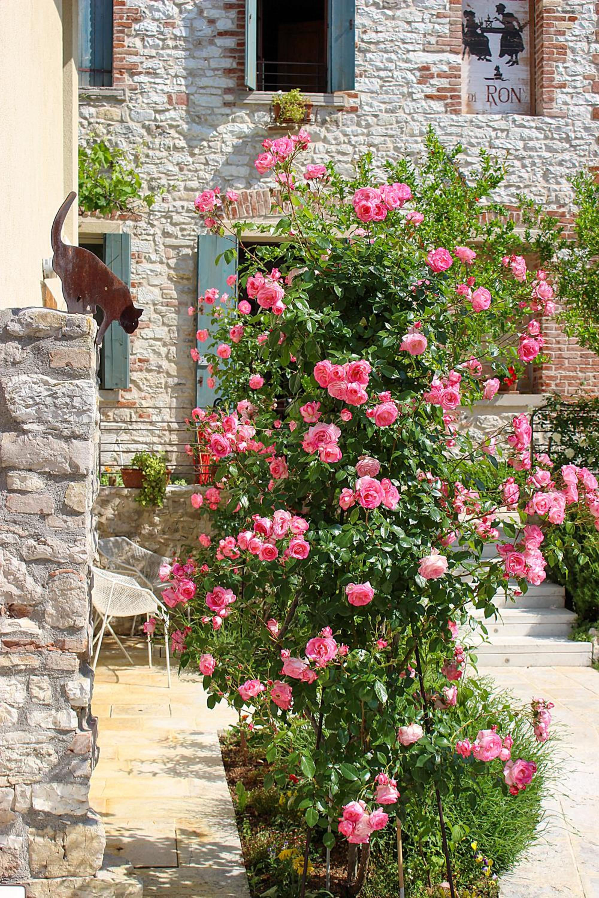 Photo 44