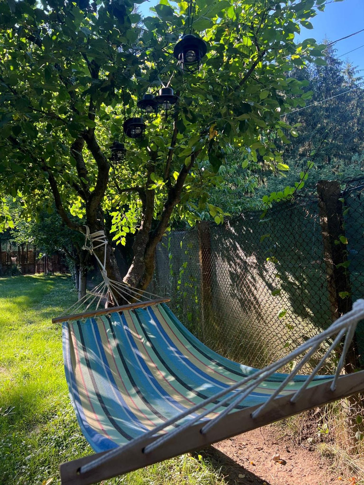 Cabana dintre Brazi view 2