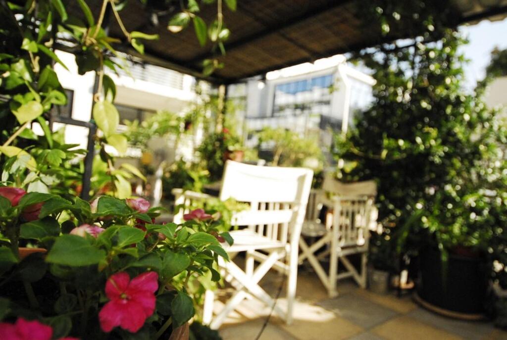 Apartment with Roof Garden - American Embassy Area - Fast Internet