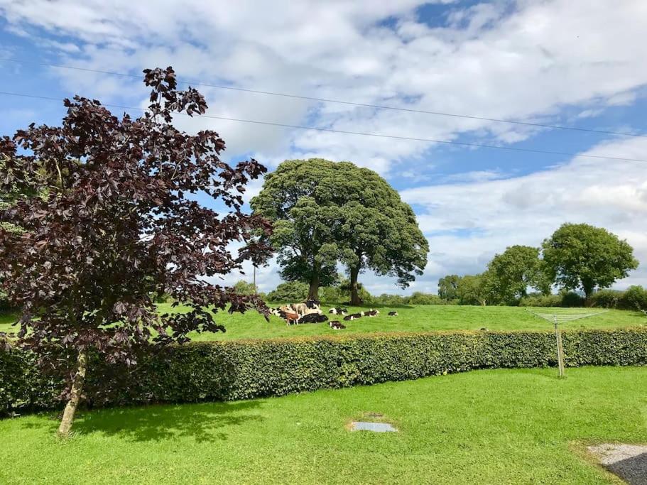 Dan Rua's Cottage view 4