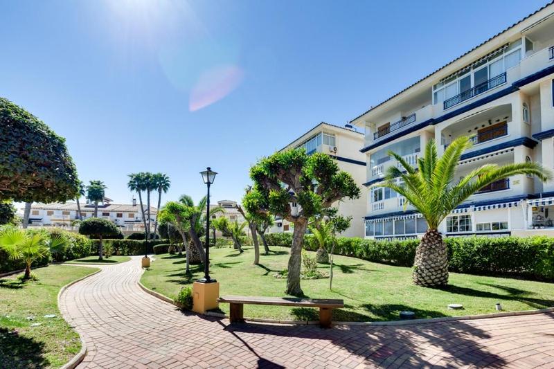 Bungalow con terraza La Mata