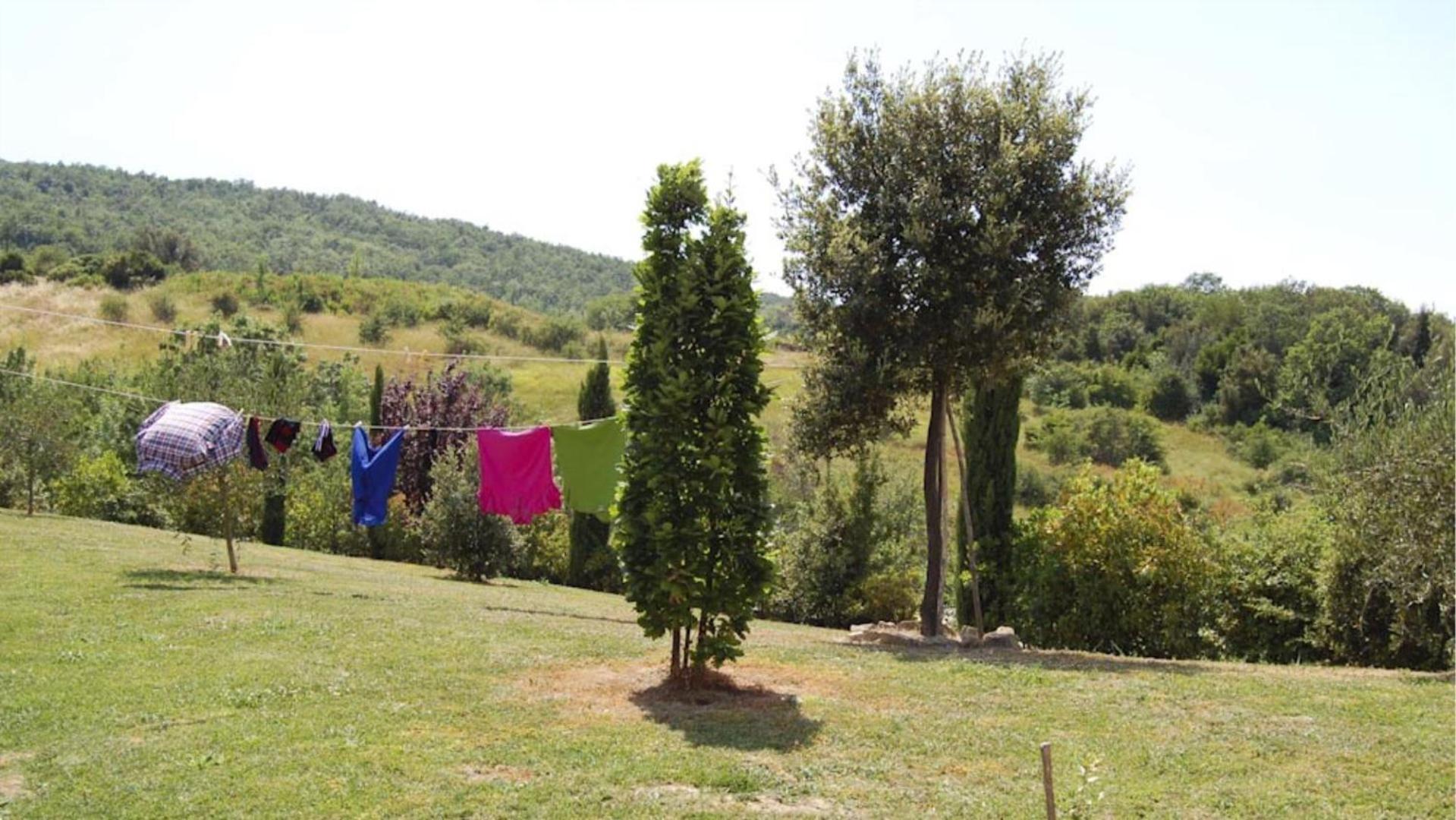 Photo 30