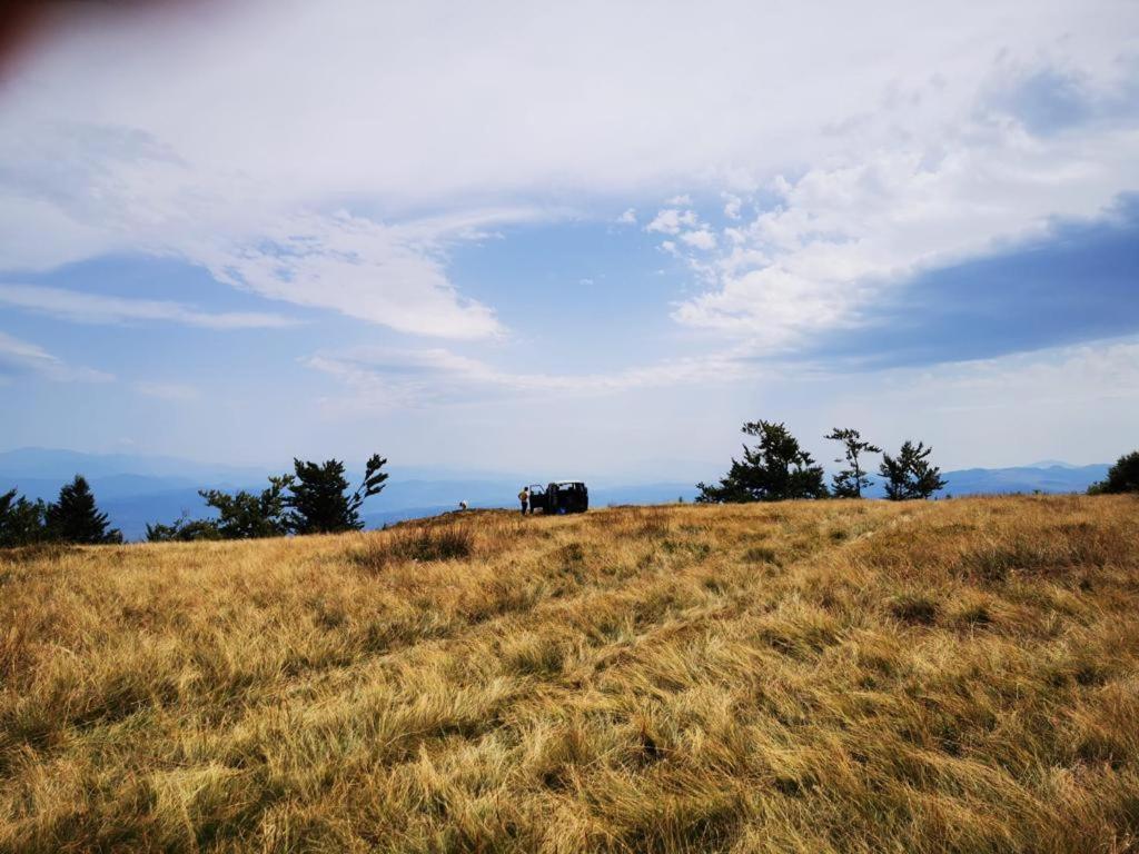 Pensiunea Anca