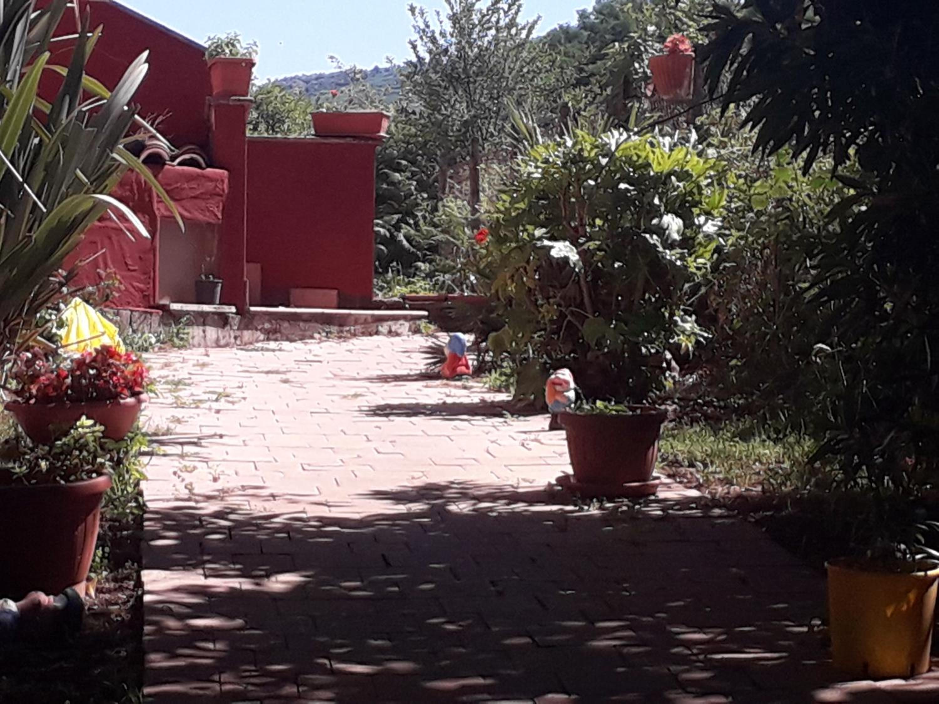 Villa delle Rose view 5