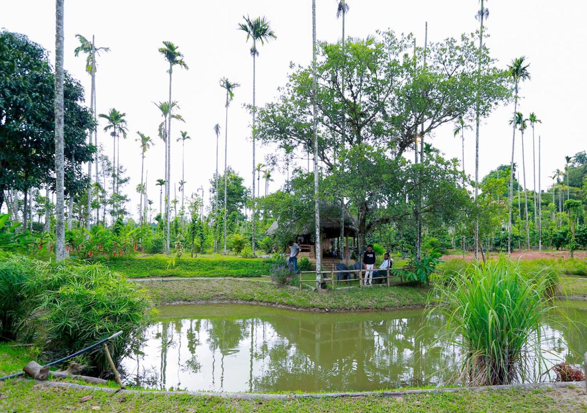 children's play area