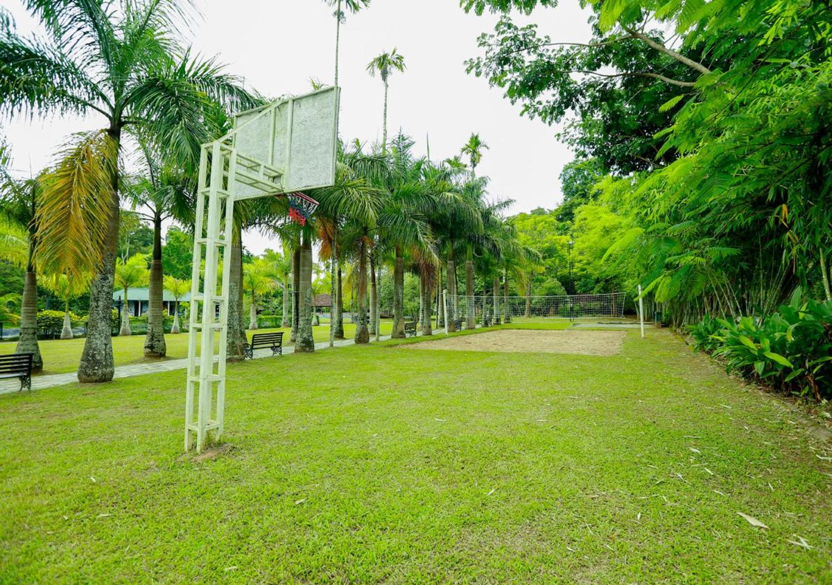 children's play area