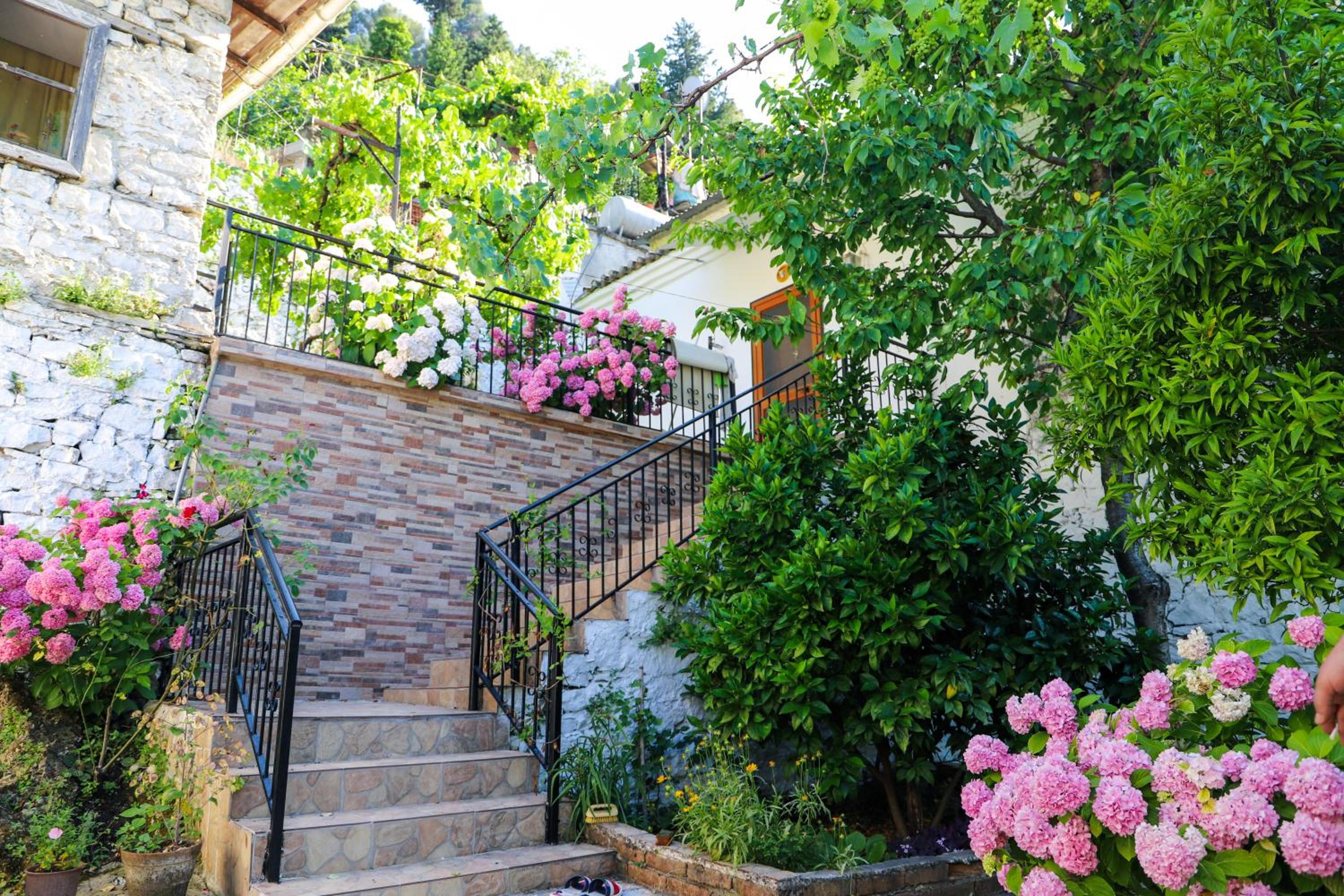 Stone Villa Gorice