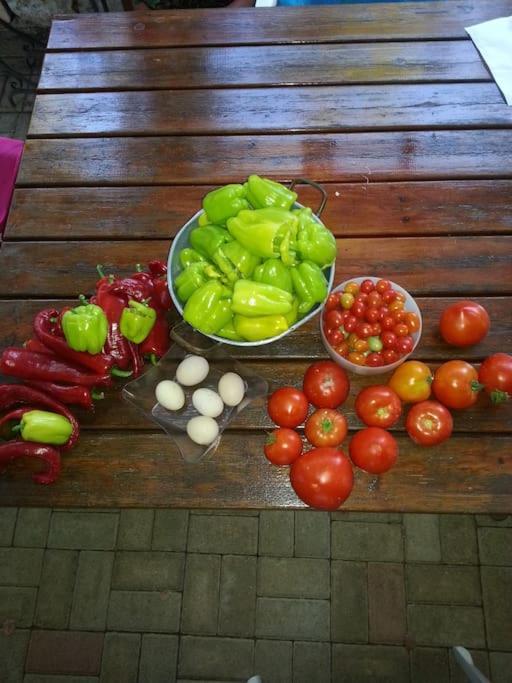 Photo 48