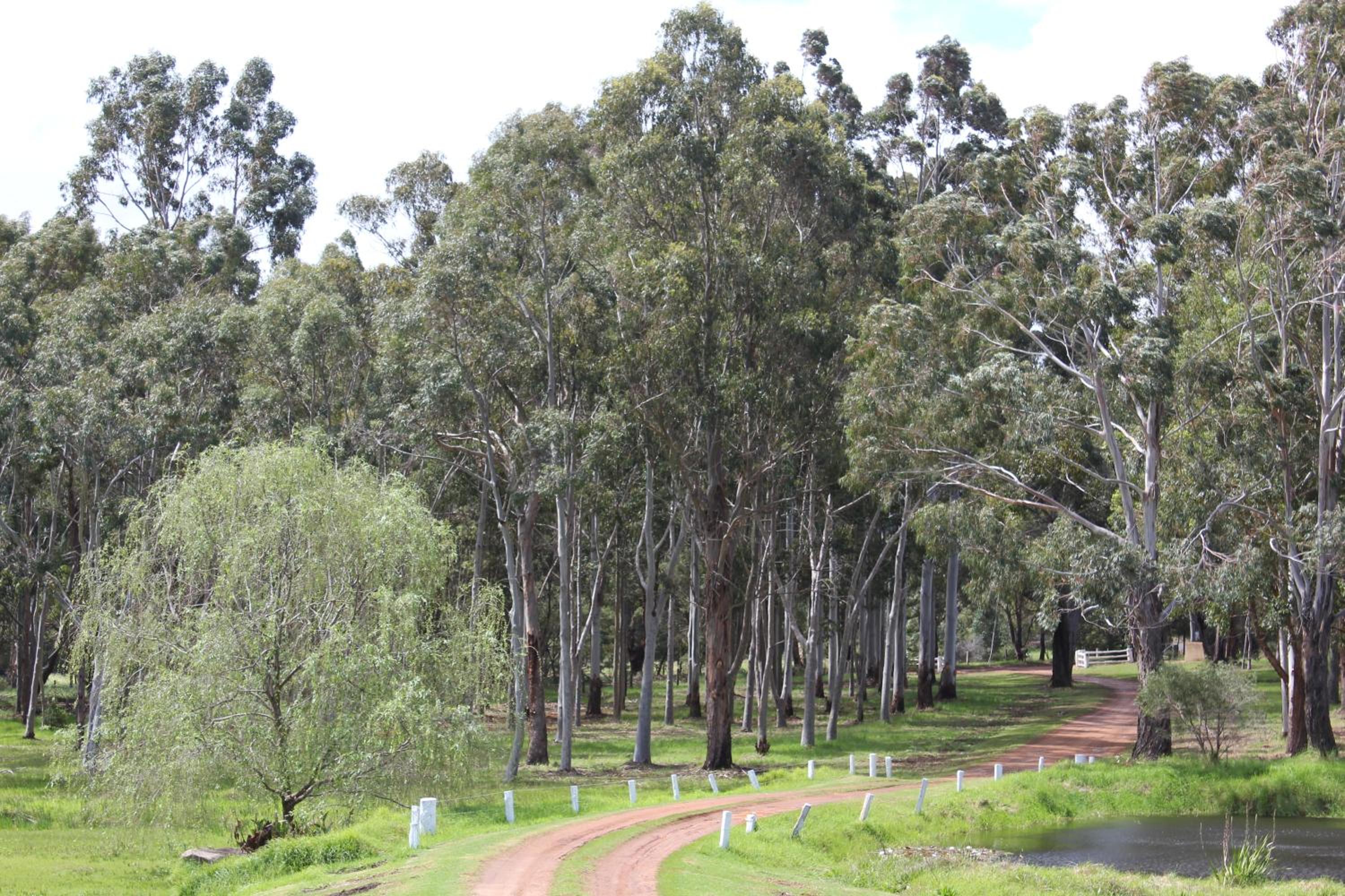 Gilgara Retreat