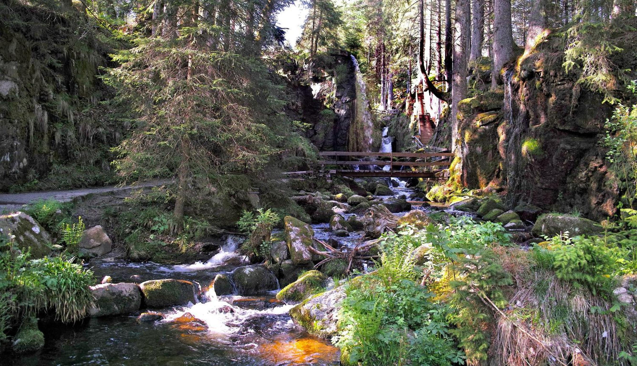 A6 Schwarzwald-Fewo an der Alb
