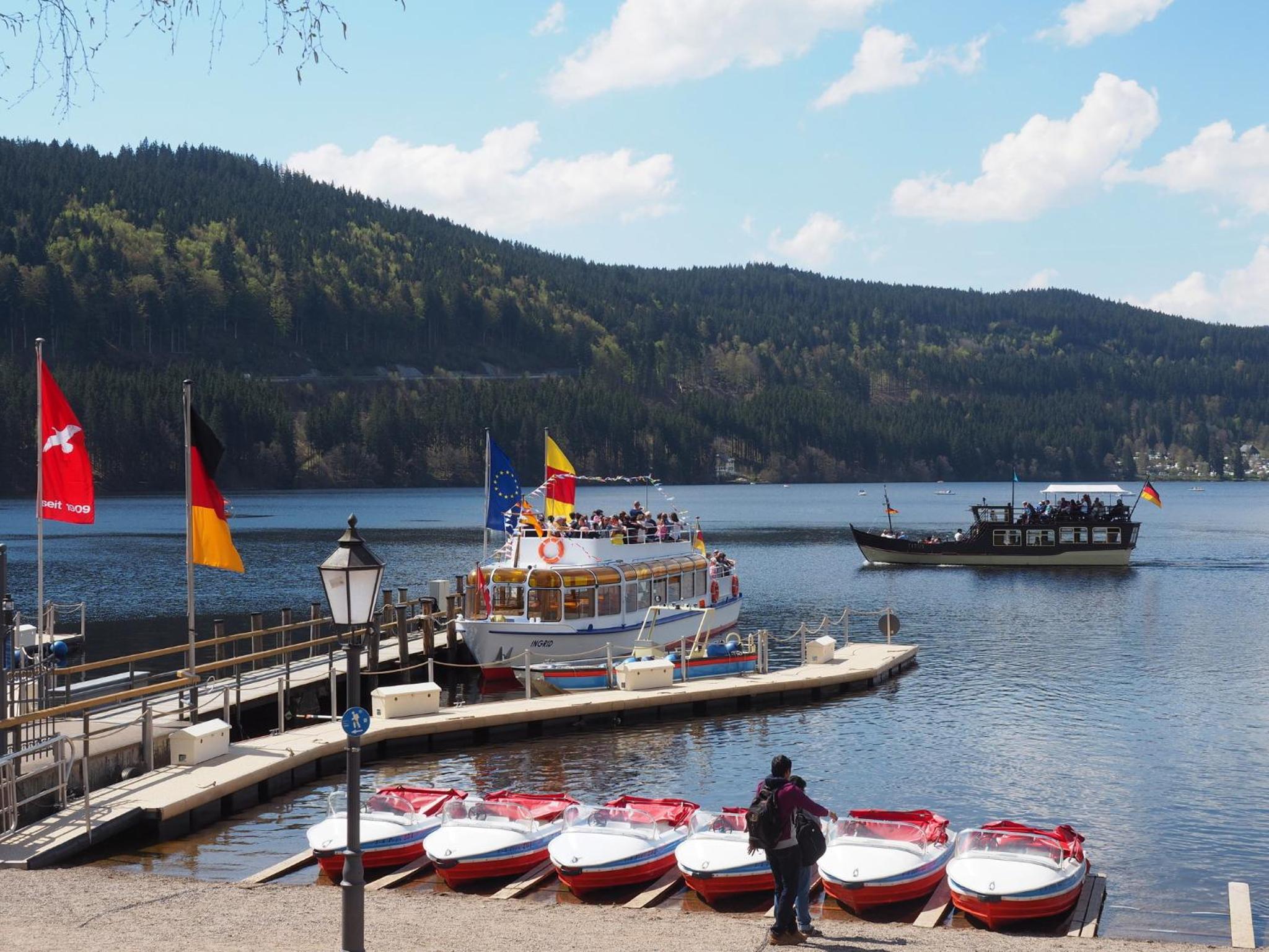A6 Schwarzwald-Fewo an der Alb