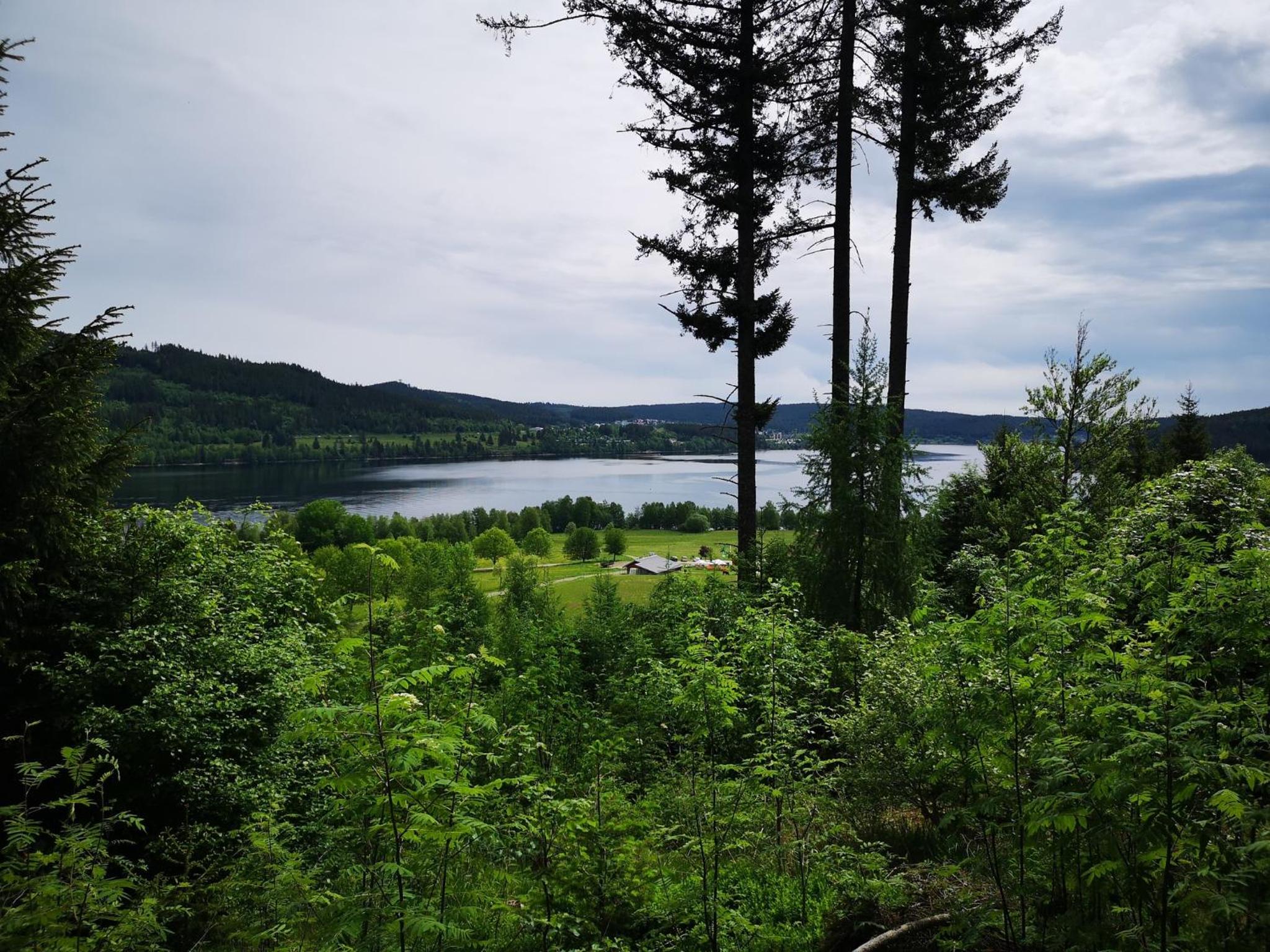 A6 Schwarzwald-Fewo an der Alb