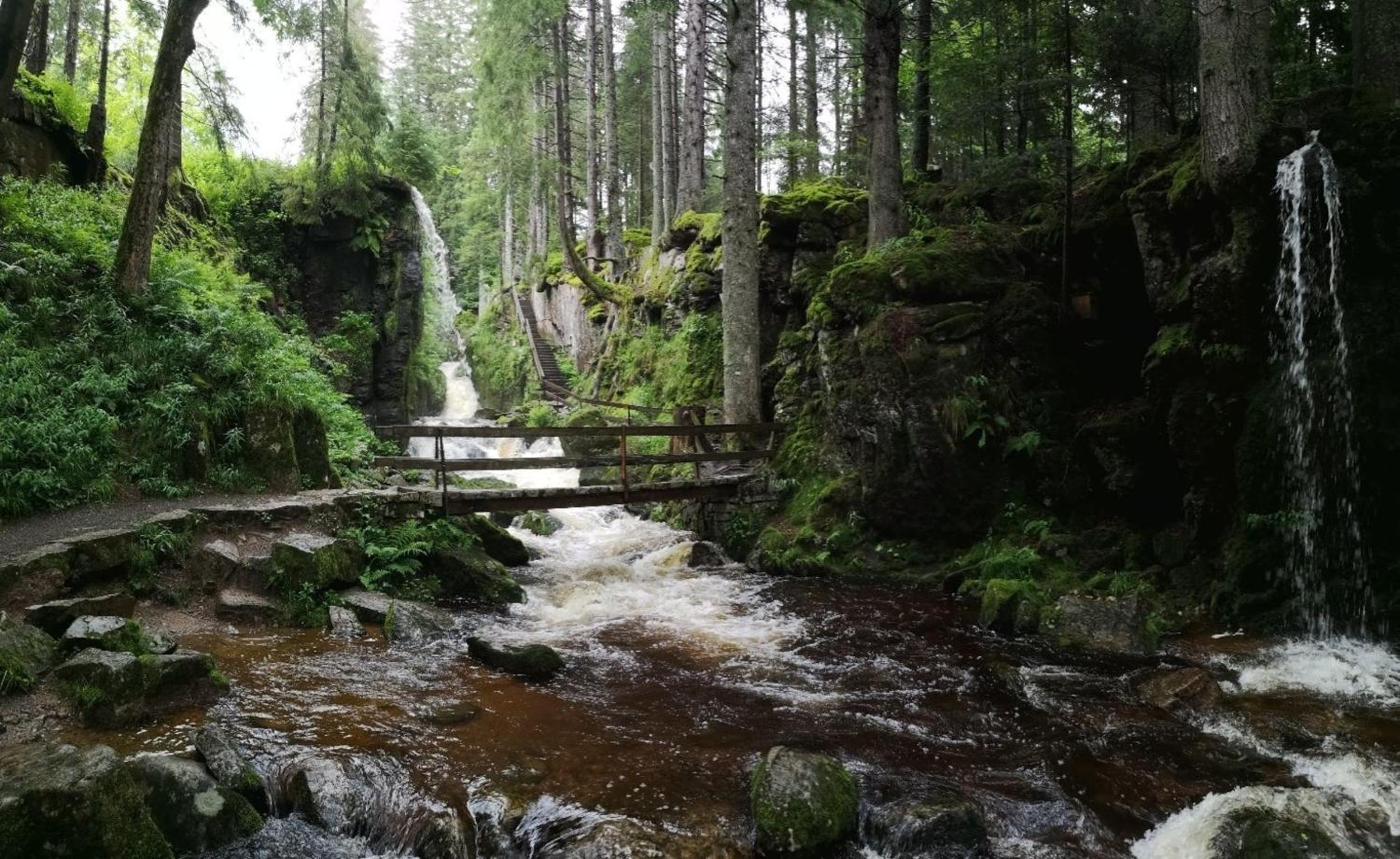 A6 Schwarzwald-Fewo an der Alb