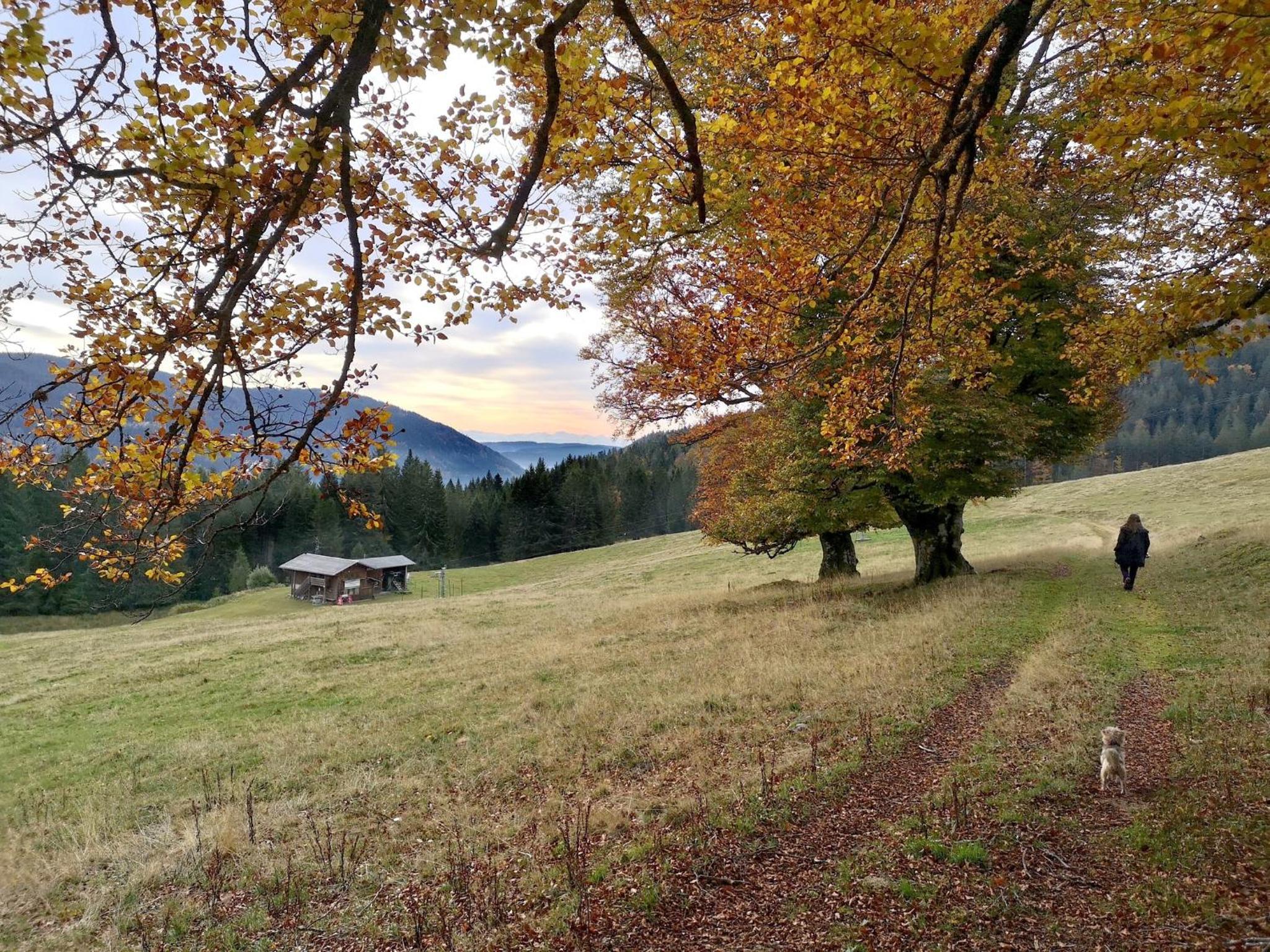 A6 Schwarzwald-Fewo an der Alb