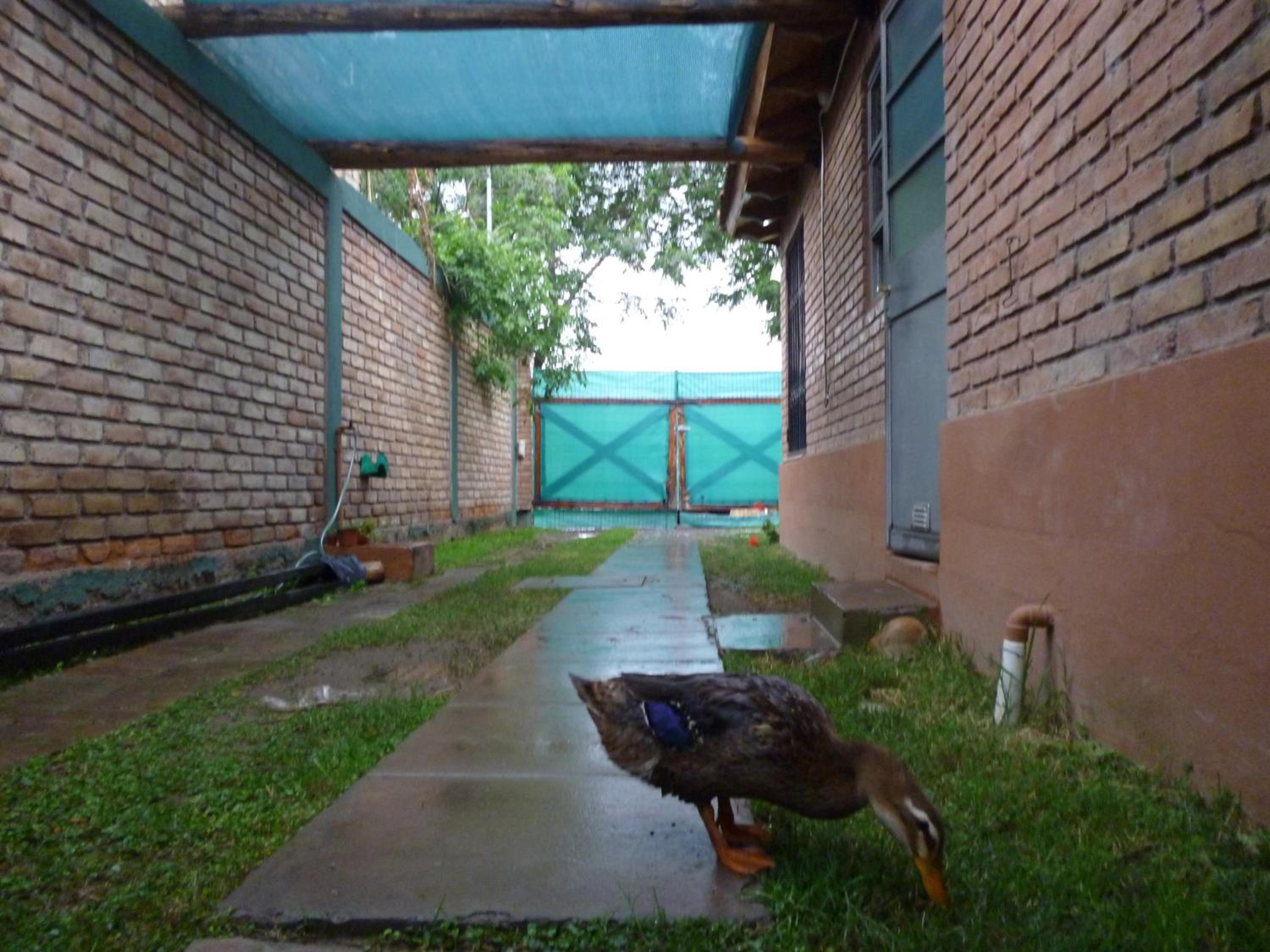 Casa en el Challao