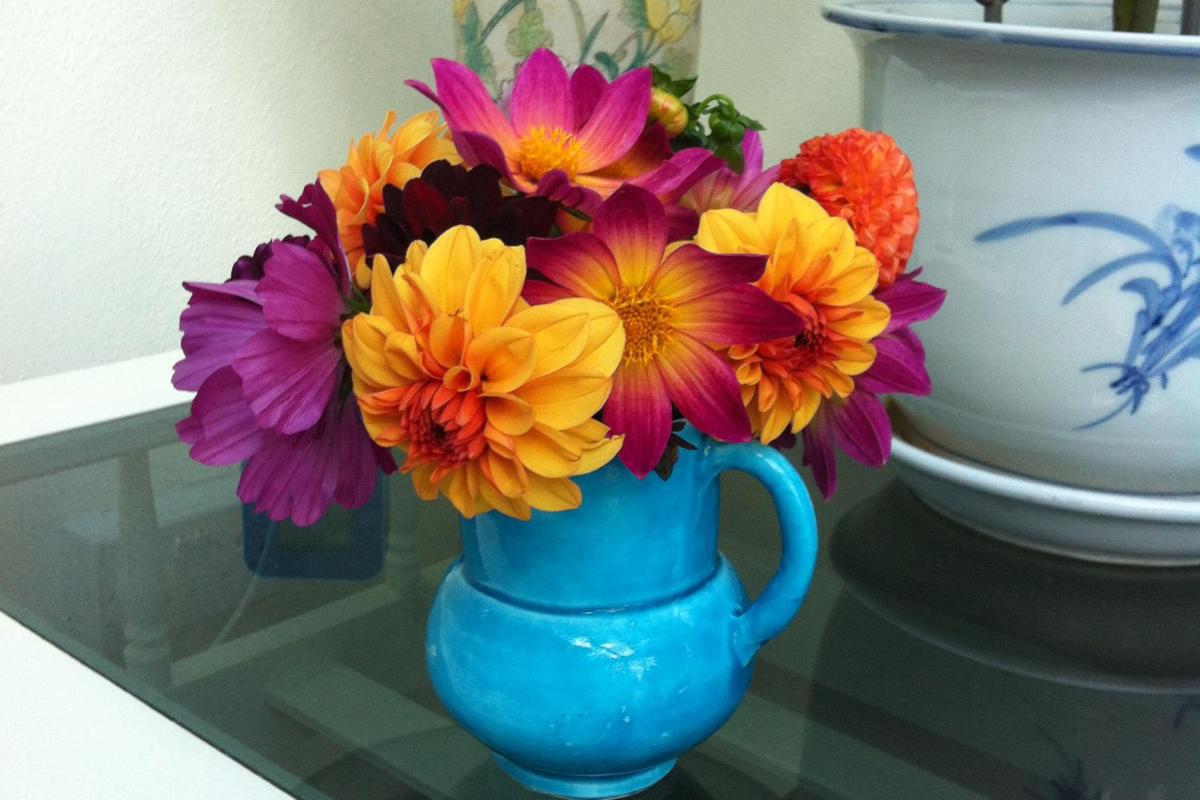 Gunville House B&B