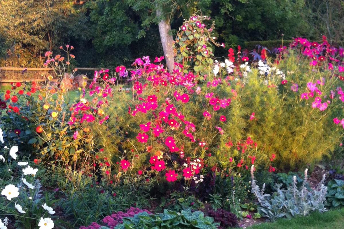 Gunville House B&B