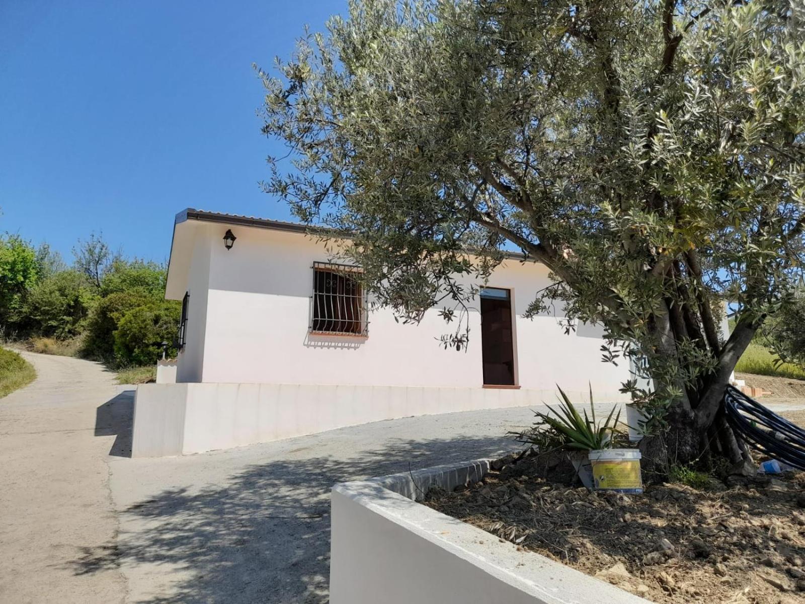 Villa Paradiso en Montegiordano — other