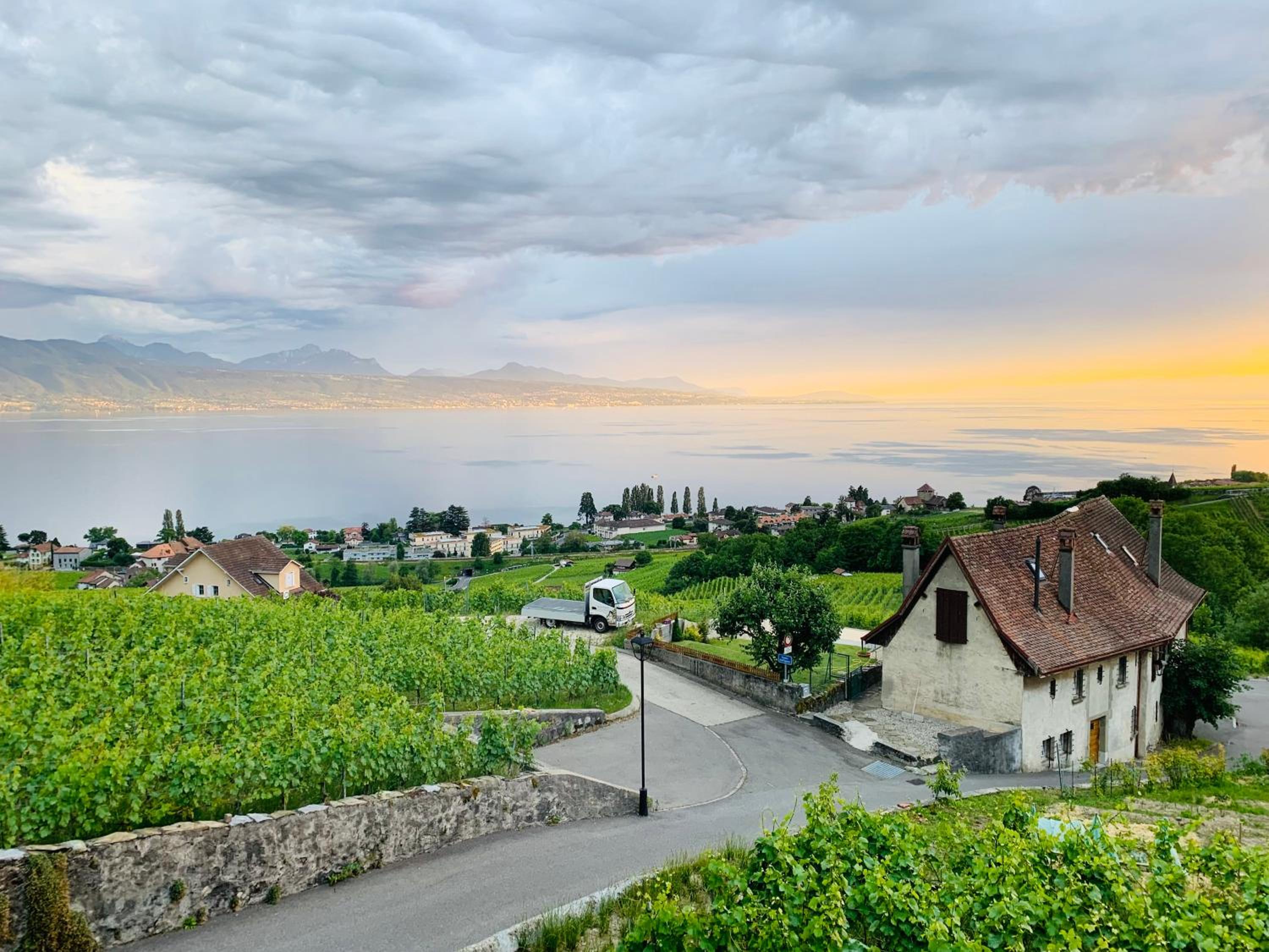 #Lavaux