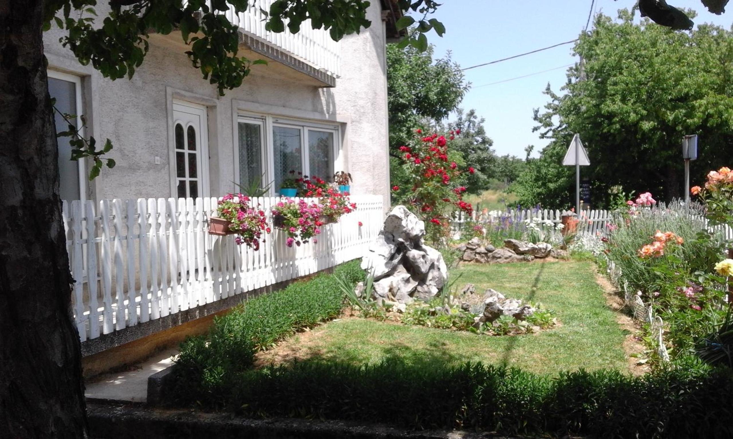 Photo 27