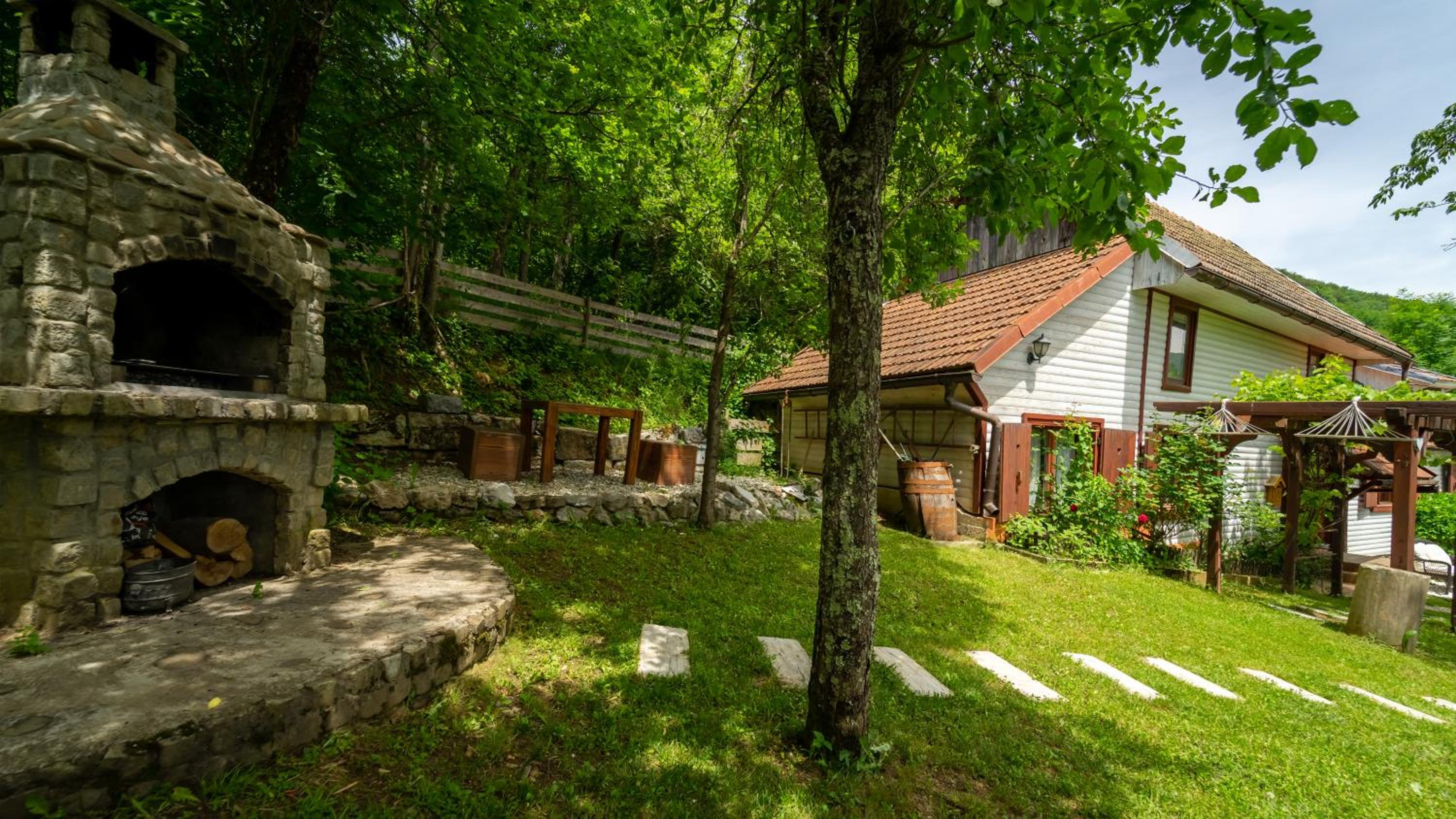 Photo 8