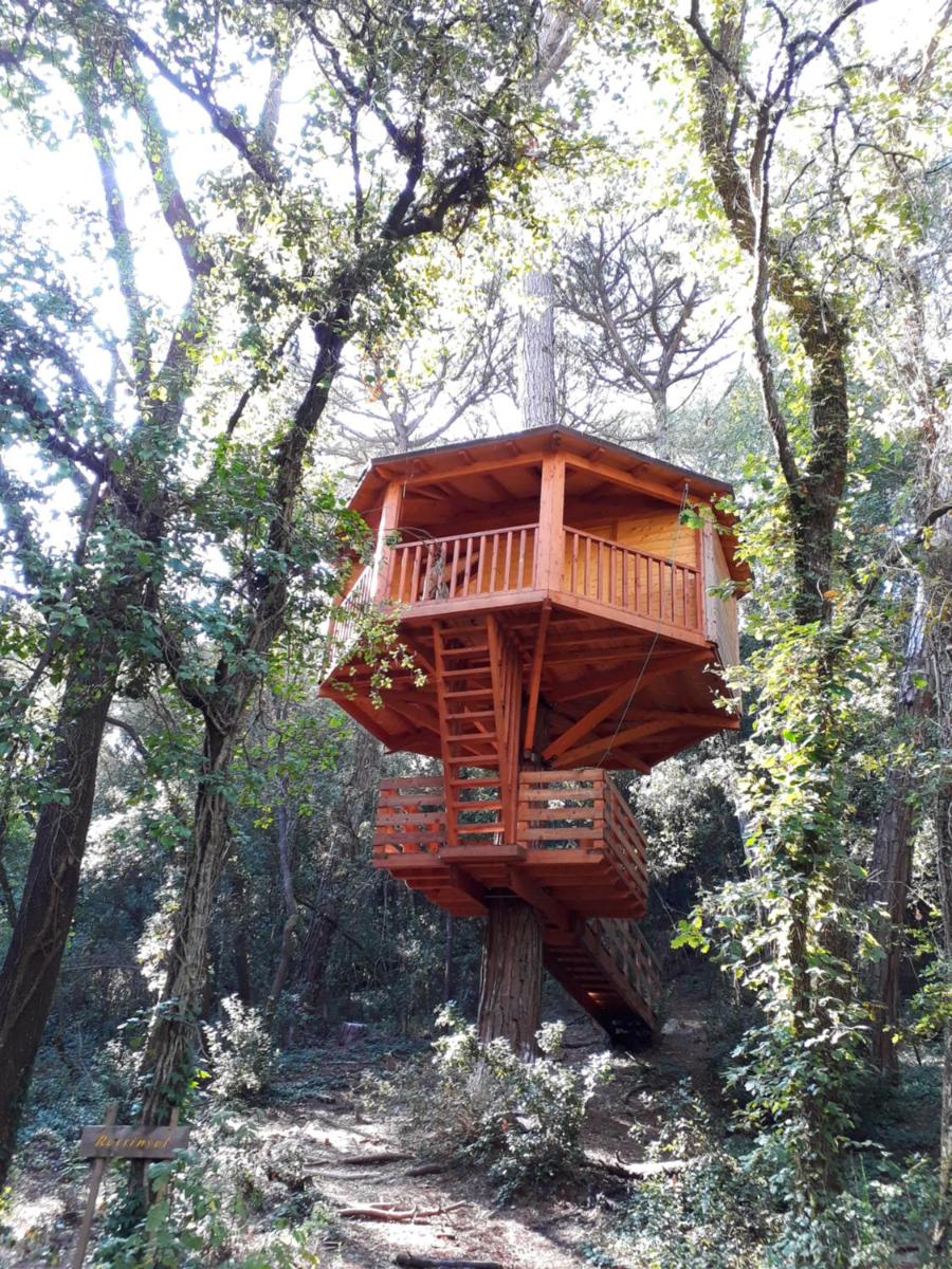 Cabanes Dosrius