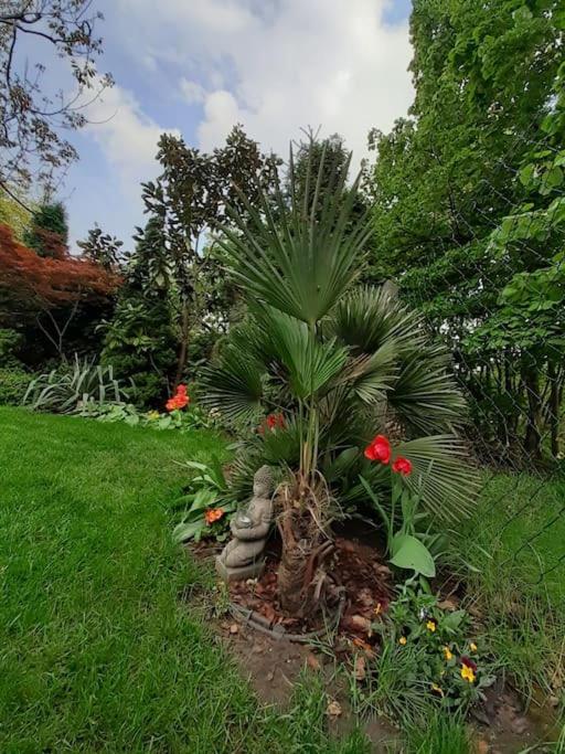 House w little tropical garden view 4