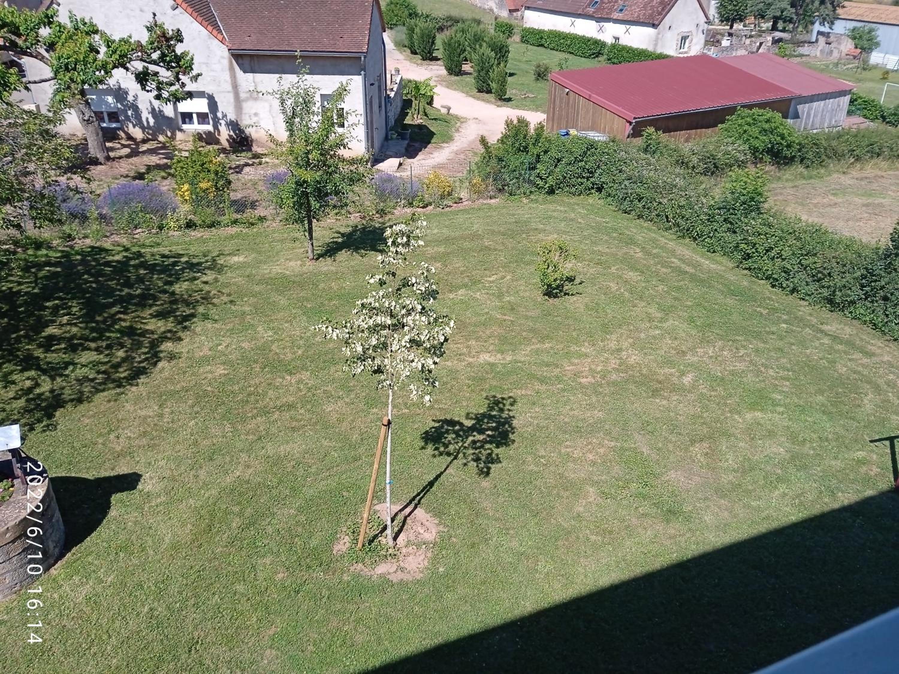 Photo 34