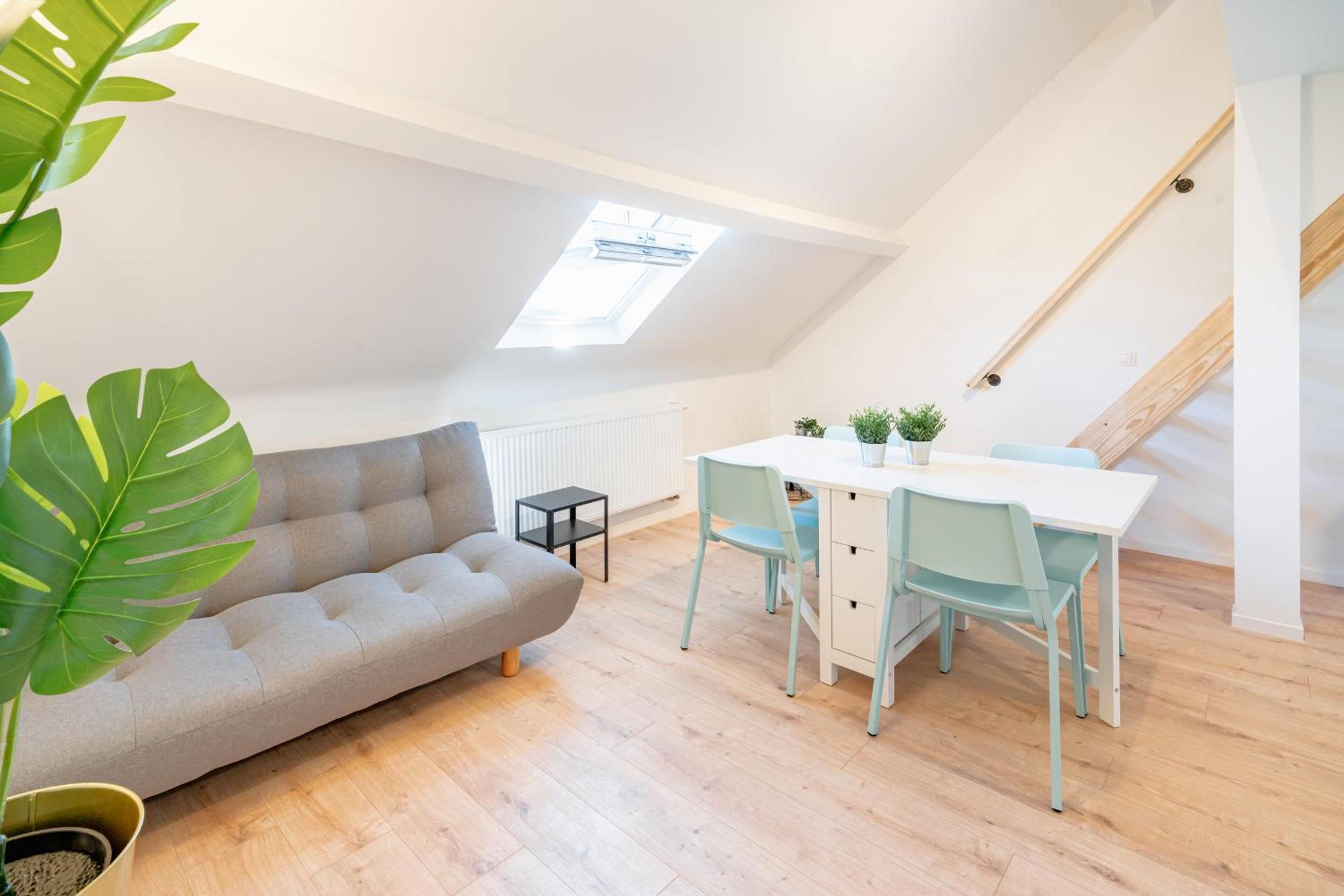 Cosy apartment in central Antwerp view 5