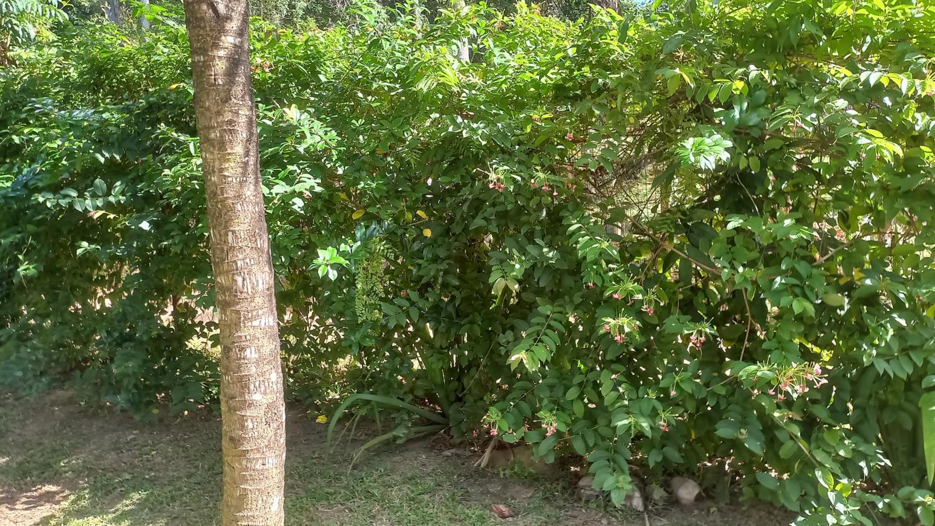 Casa para quem gosta de curtir a natureza!
