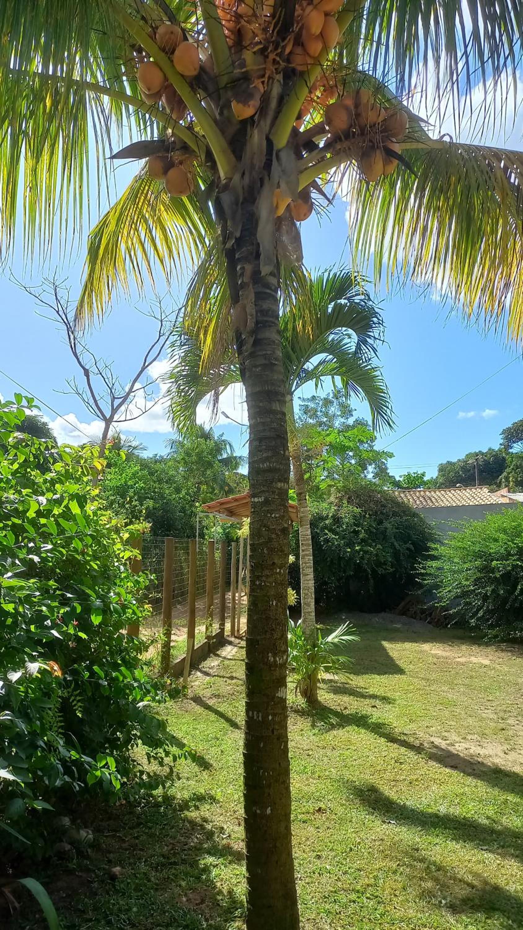 Casa para quem gosta de curtir a natureza!