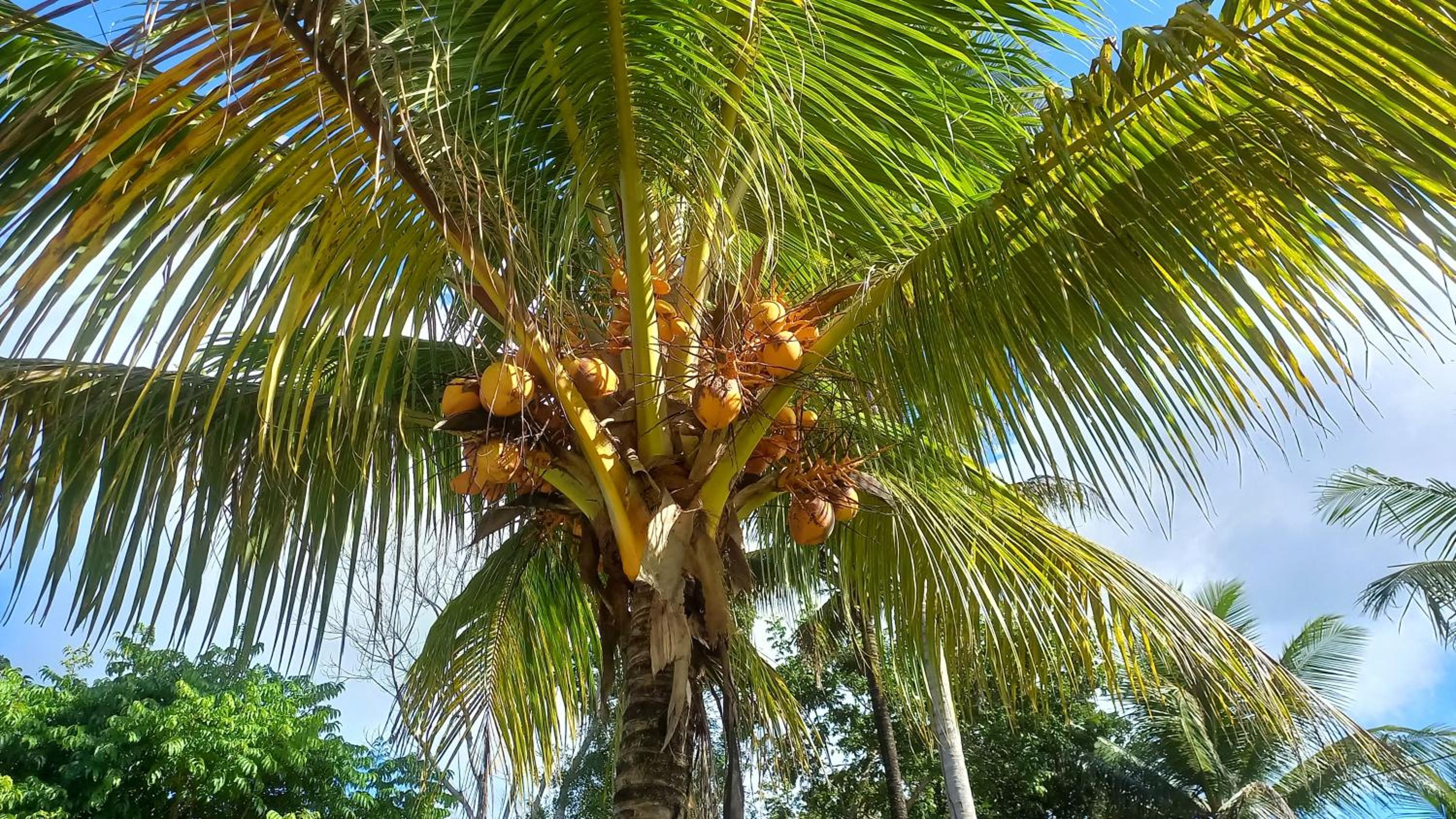 Casa para quem gosta de curtir a natureza!
