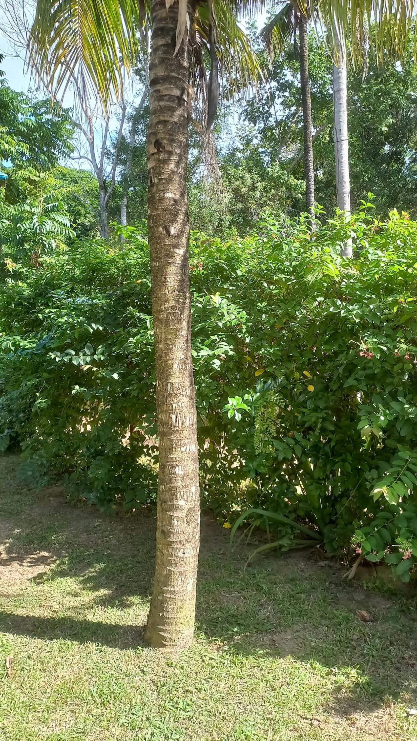 Casa para quem gosta de curtir a natureza!