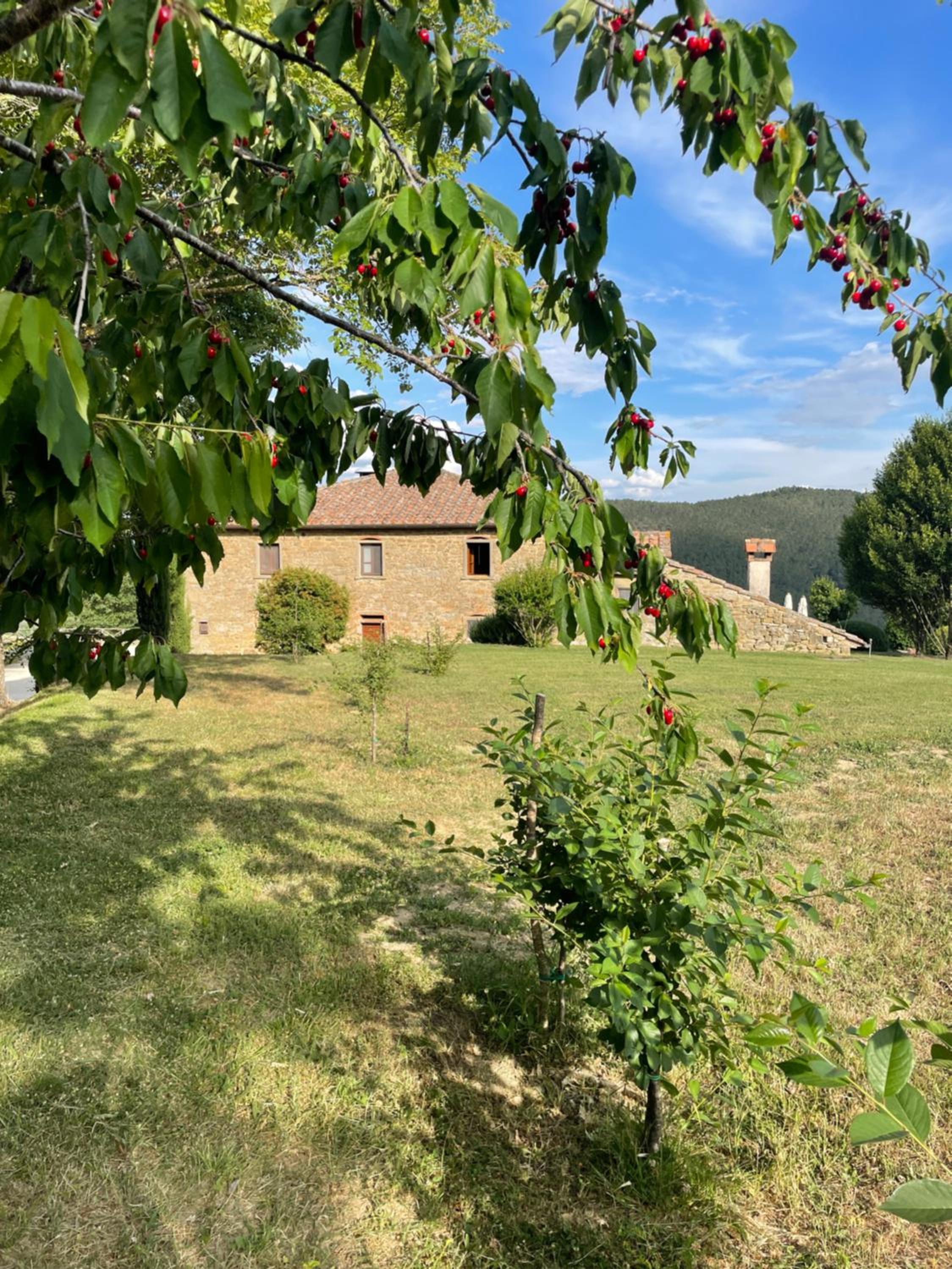 Locanda Del Viandante B&B