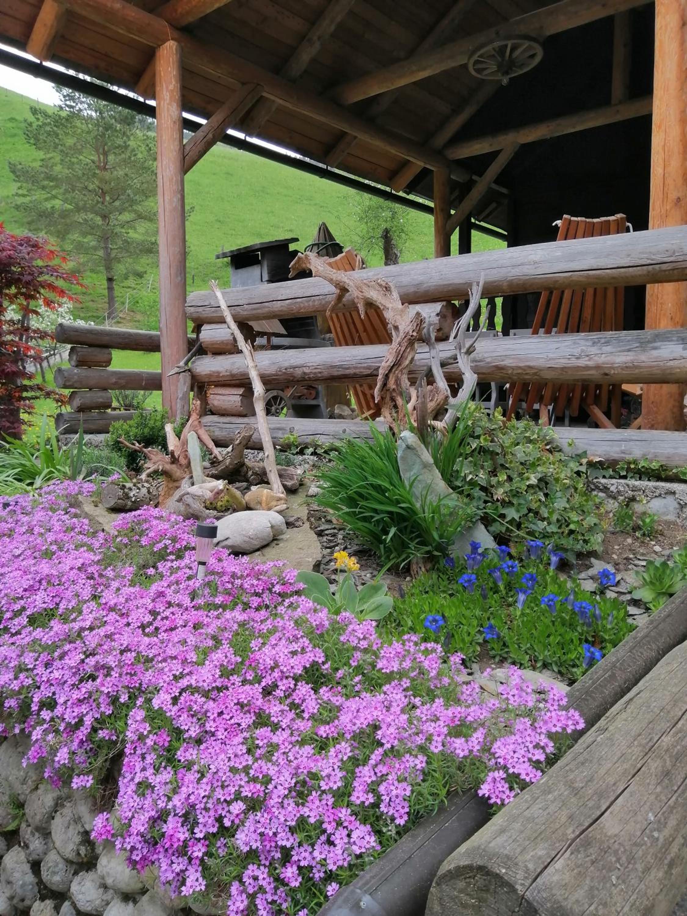 Photo 15