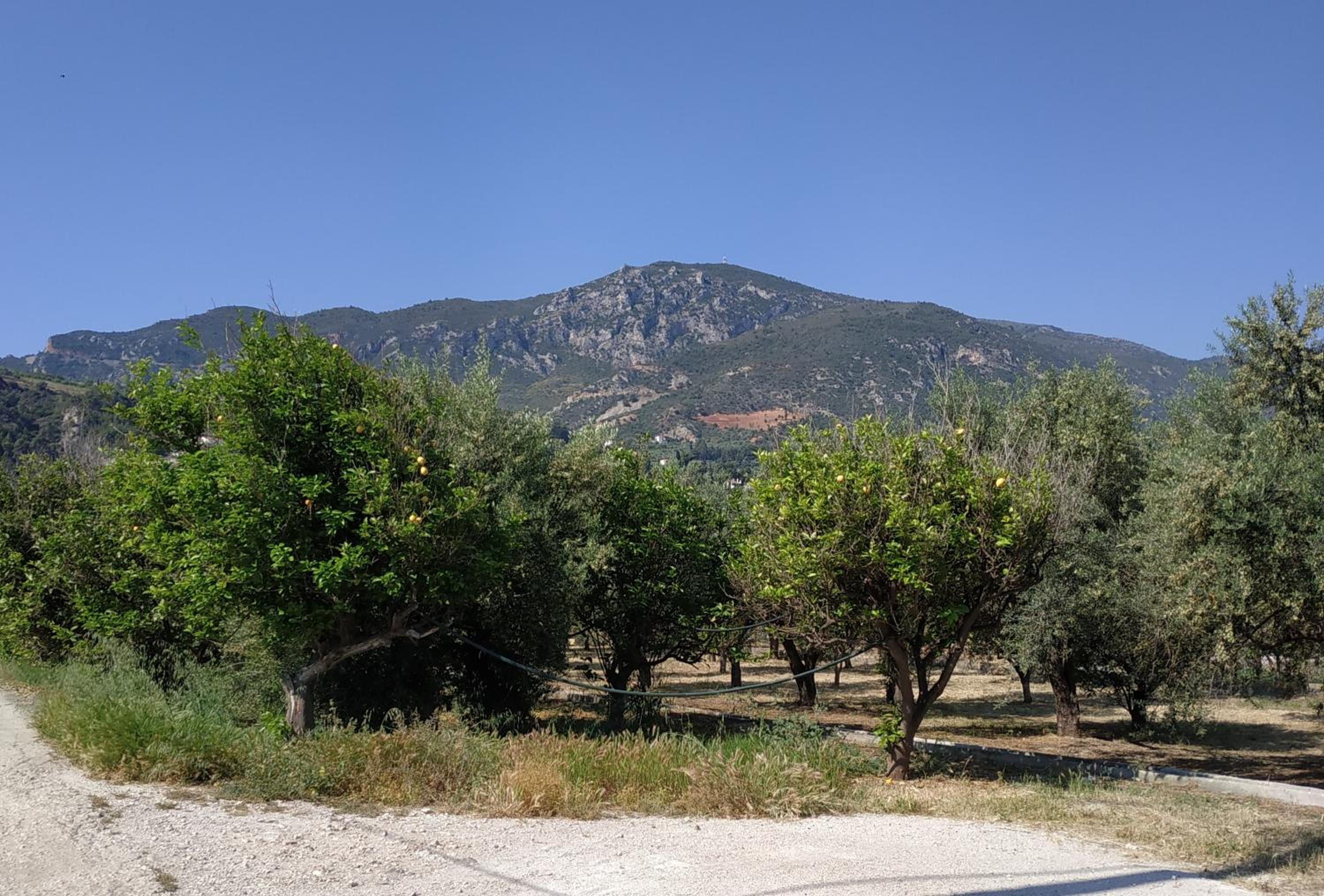 Photo 6