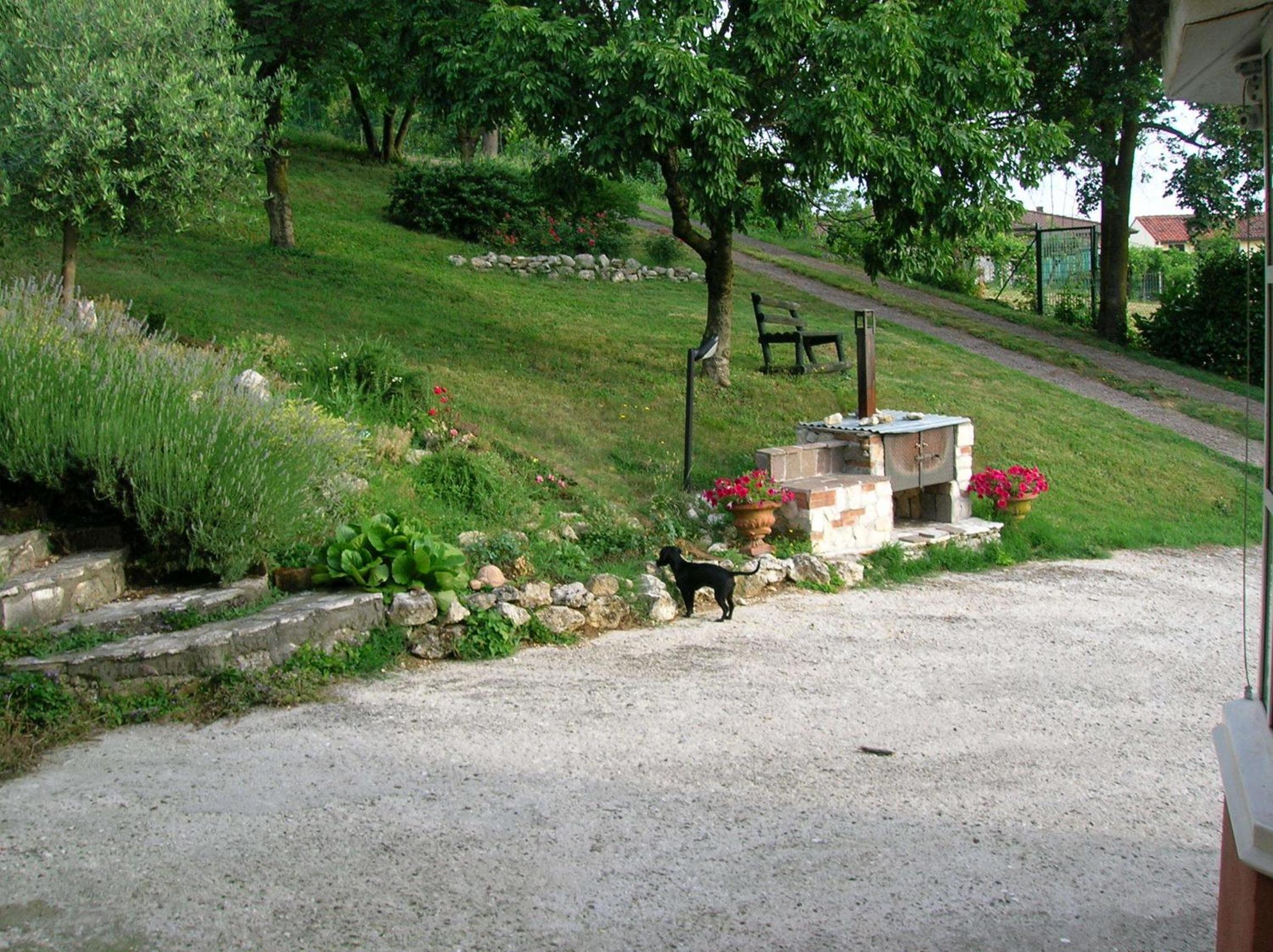 Photo 19