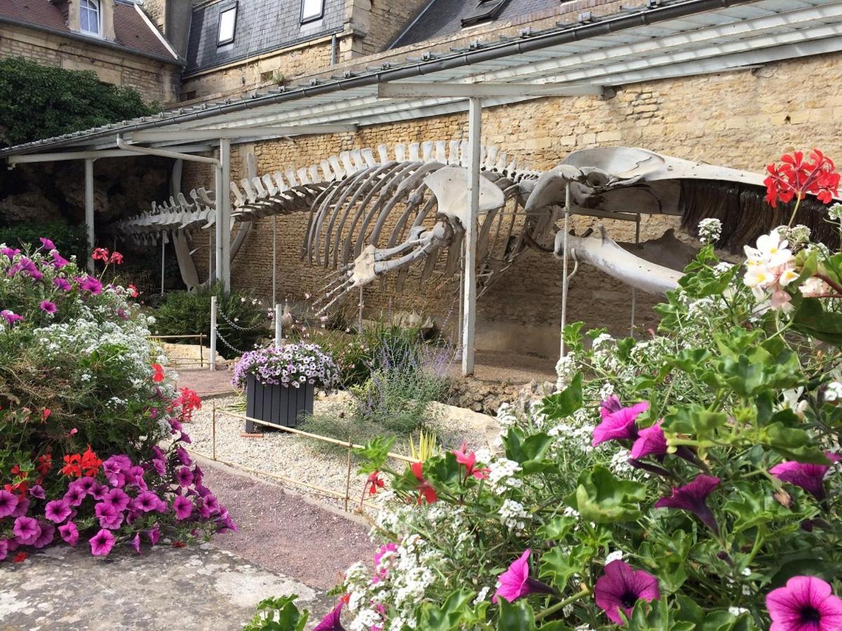 Maisonnette avec terrasse à 50m de la plage, photo 16