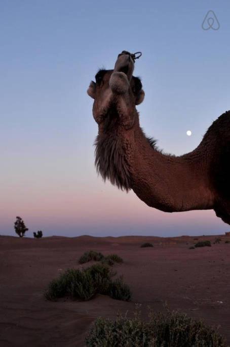 Riad De Rêve, photo 31