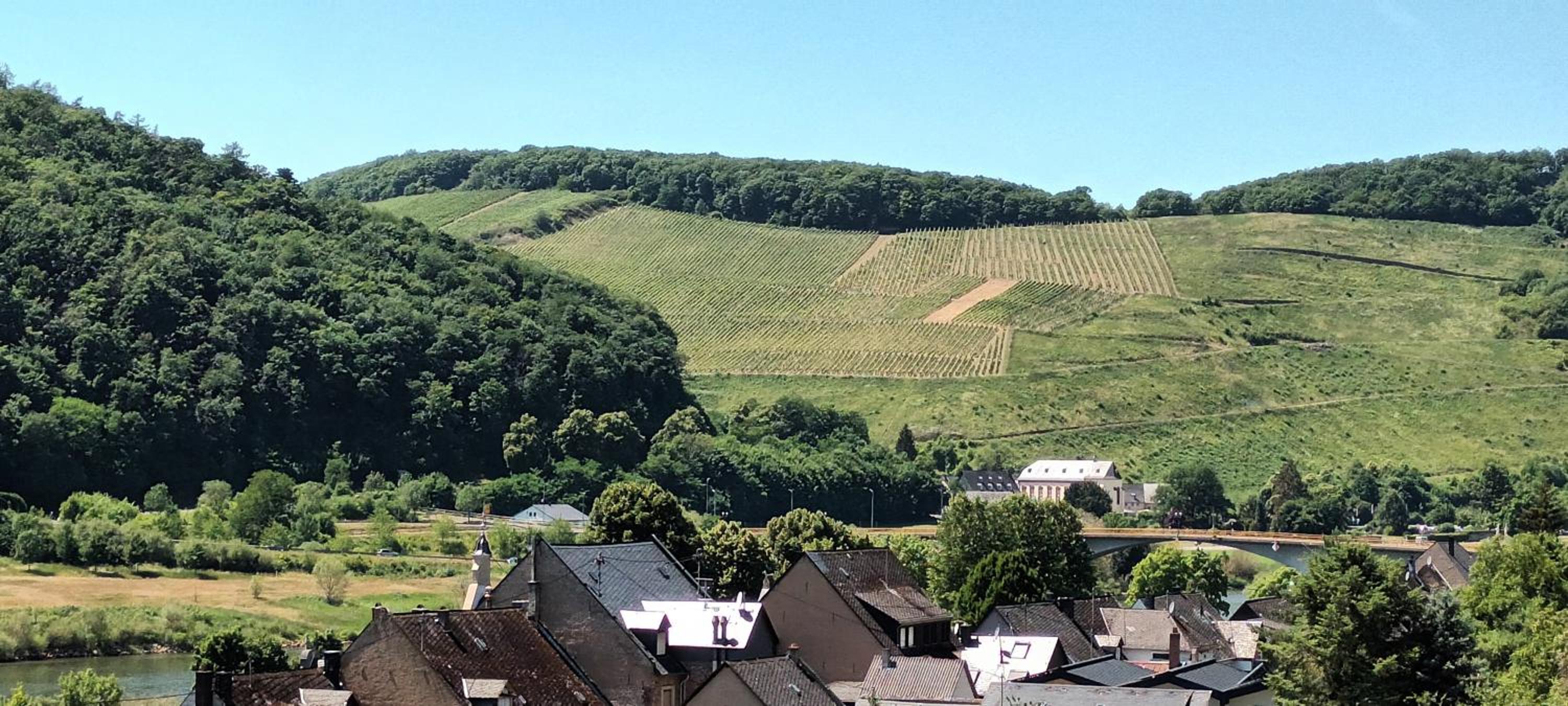 Buergerhaus Zeltingen Fewo