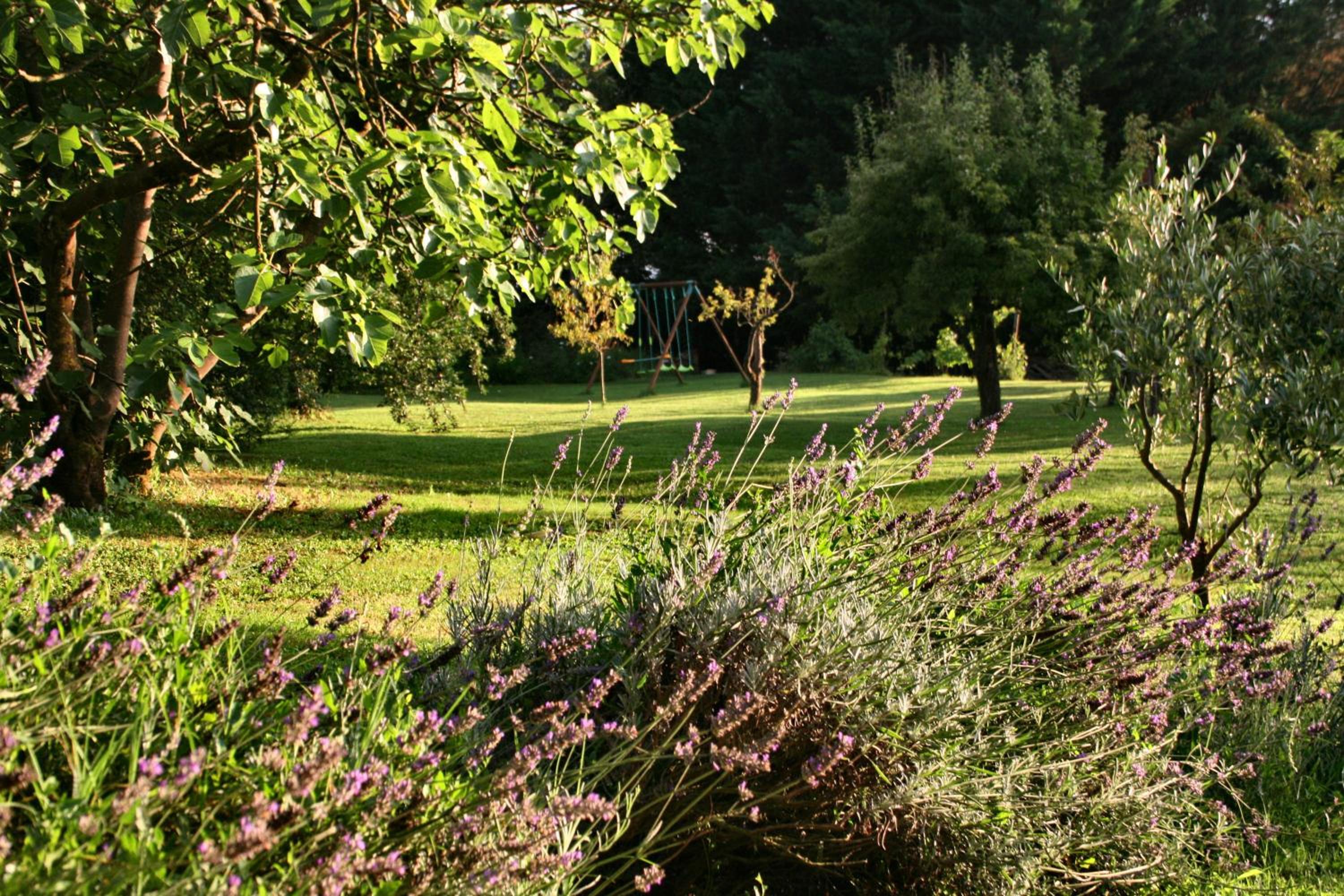 Agriturismo Poggio Salvi