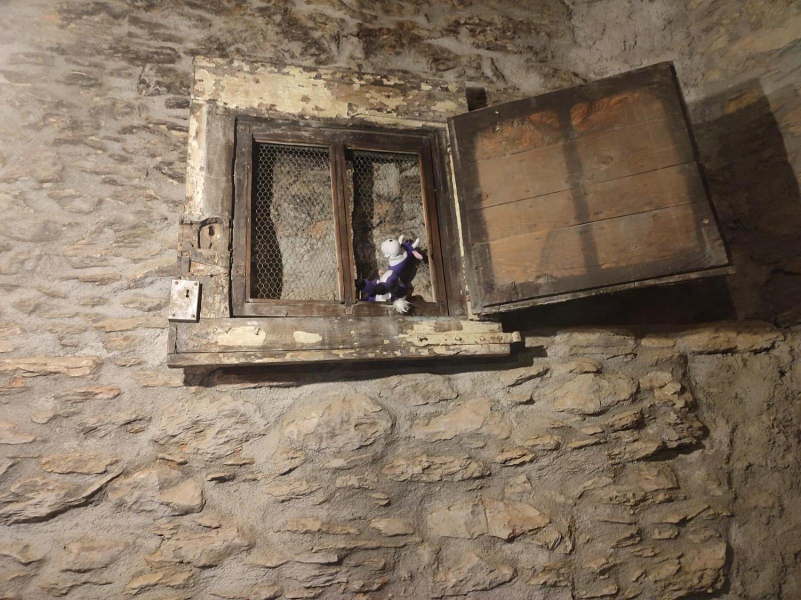 Photo 49