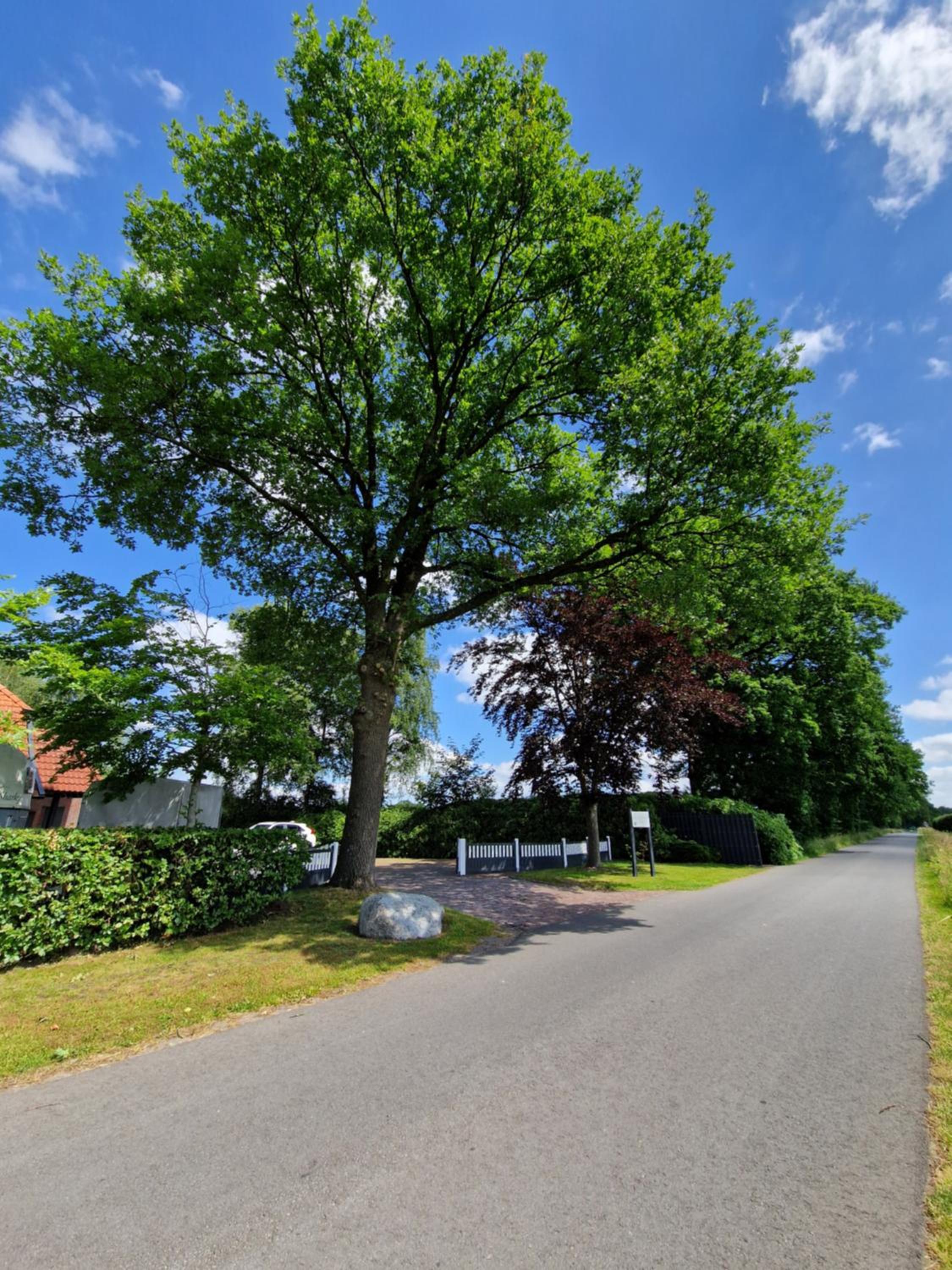 Friesenparadies FRI-Südliches Friesland
